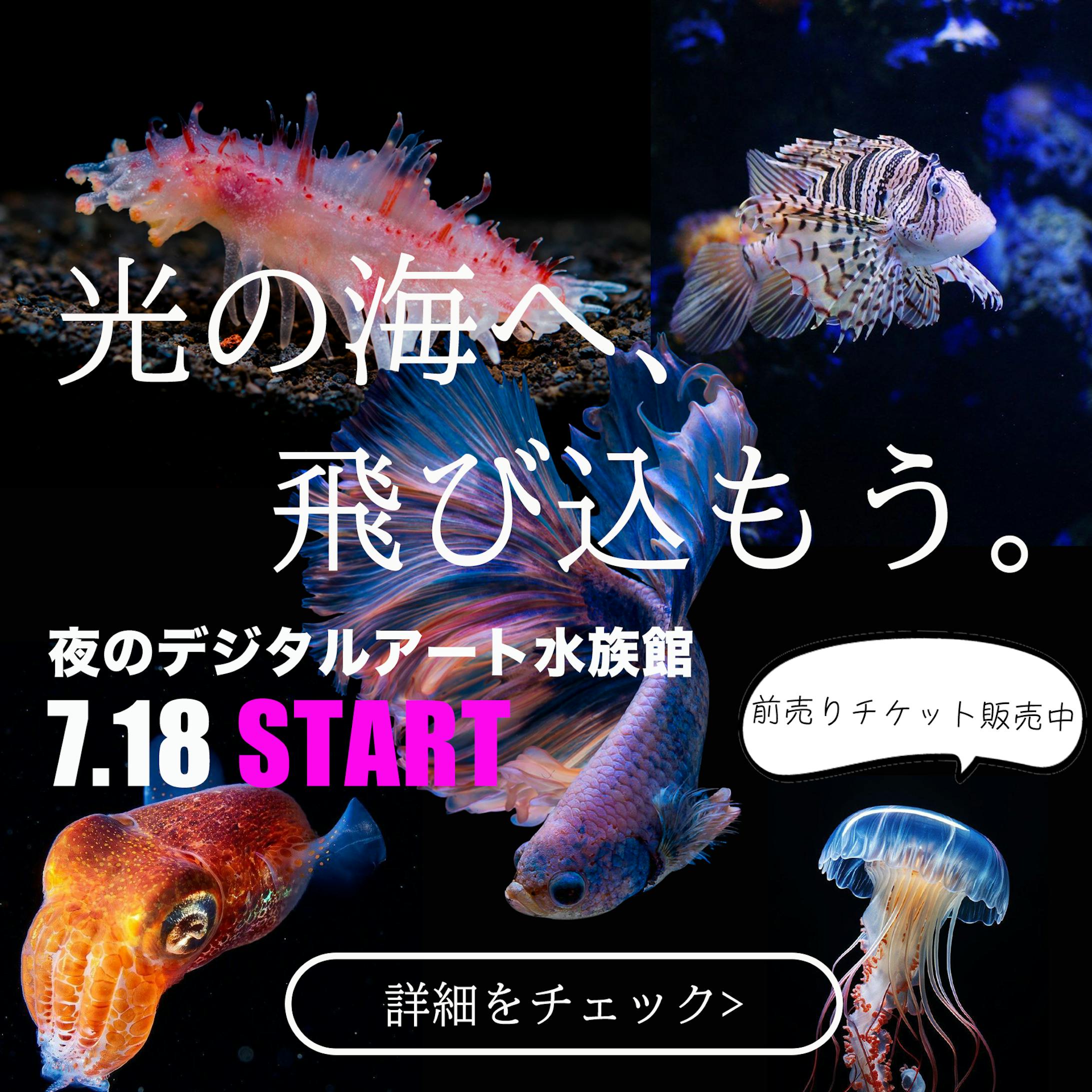 Apua誘導バナー-1