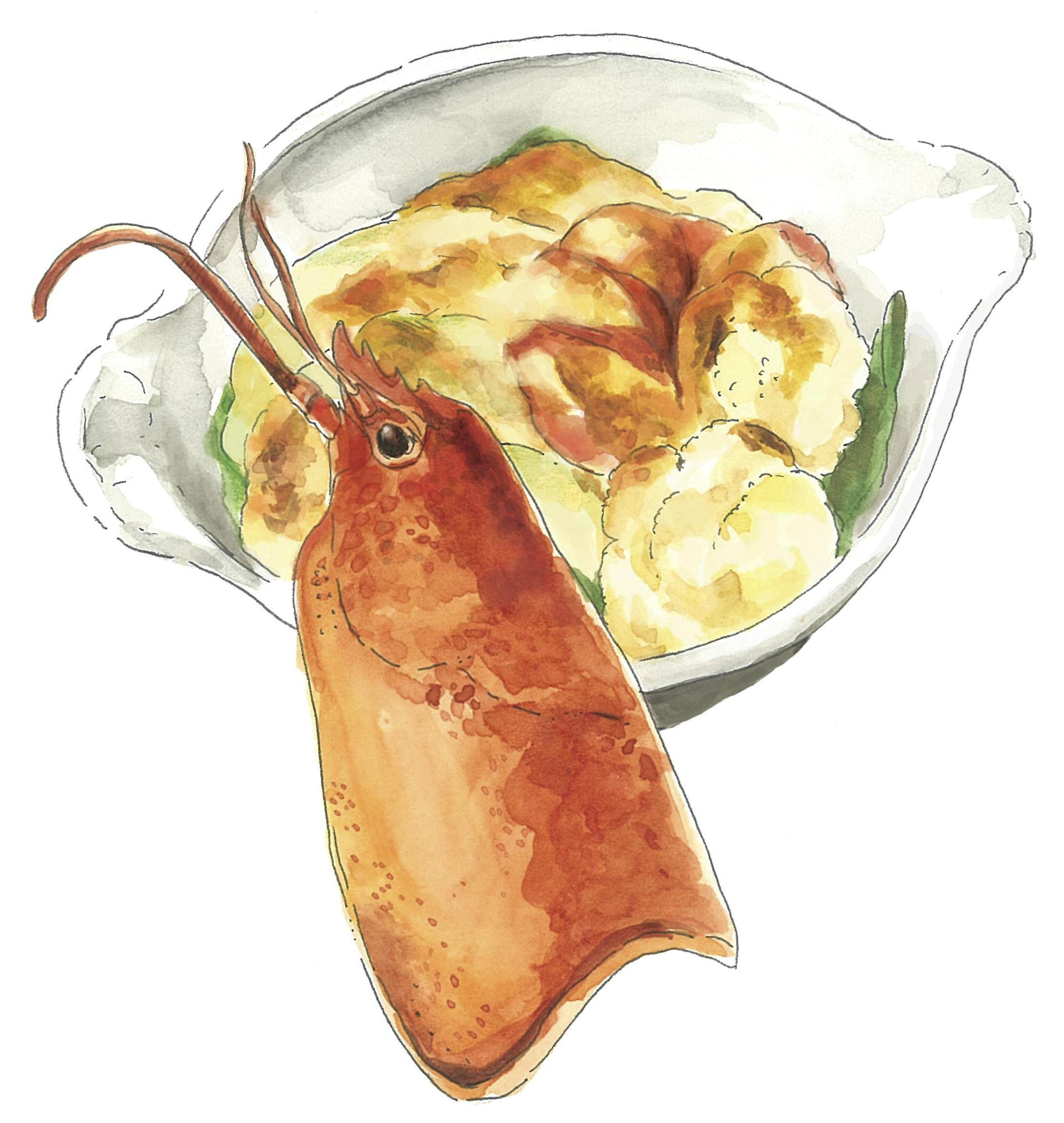 イラスト / エビグラタン-1