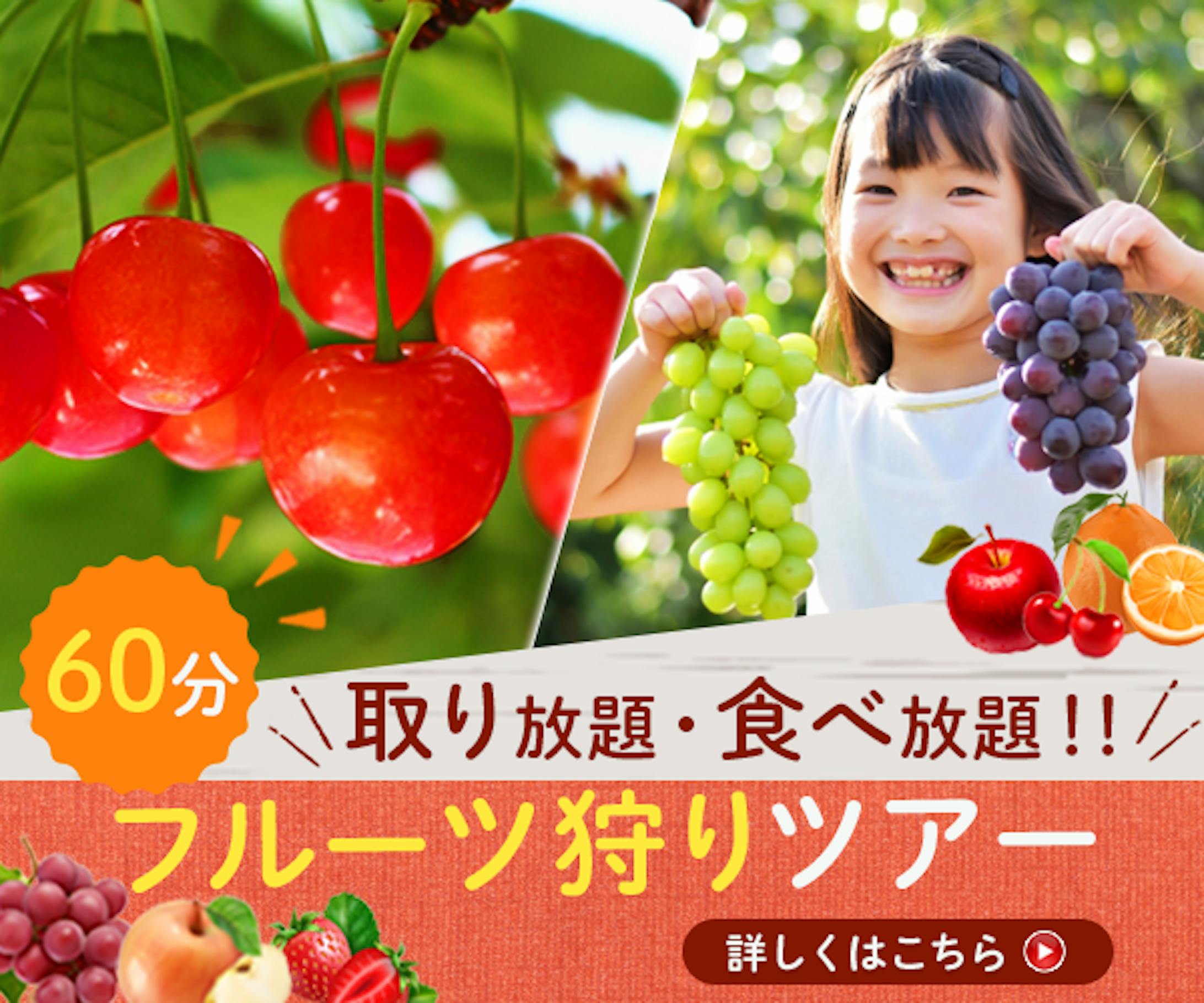 果物狩り＿バナー-1