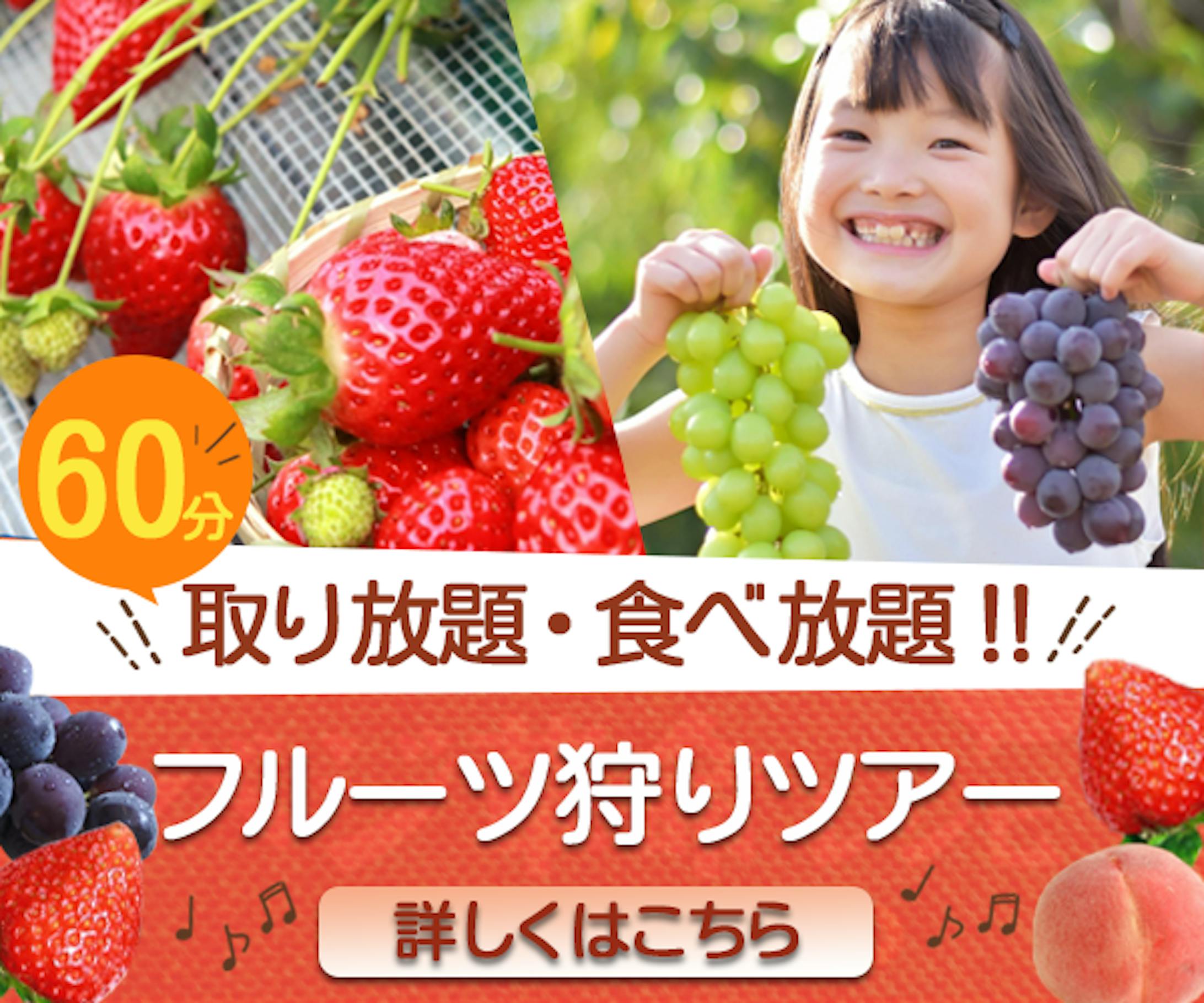 フルーツ狩りツアー-1
