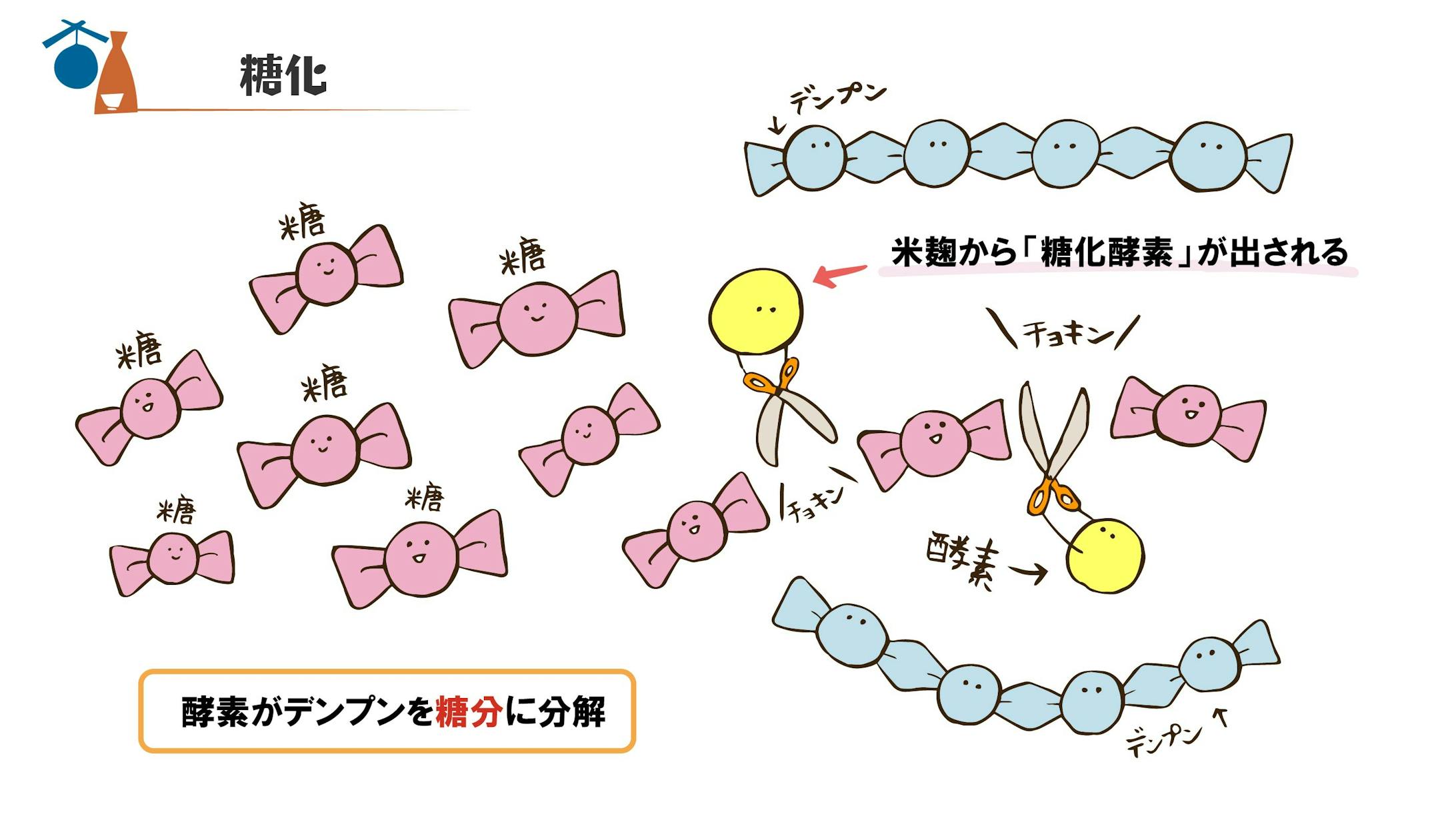 上選択 発酵 イラスト 写真素材 フォトライブラリー