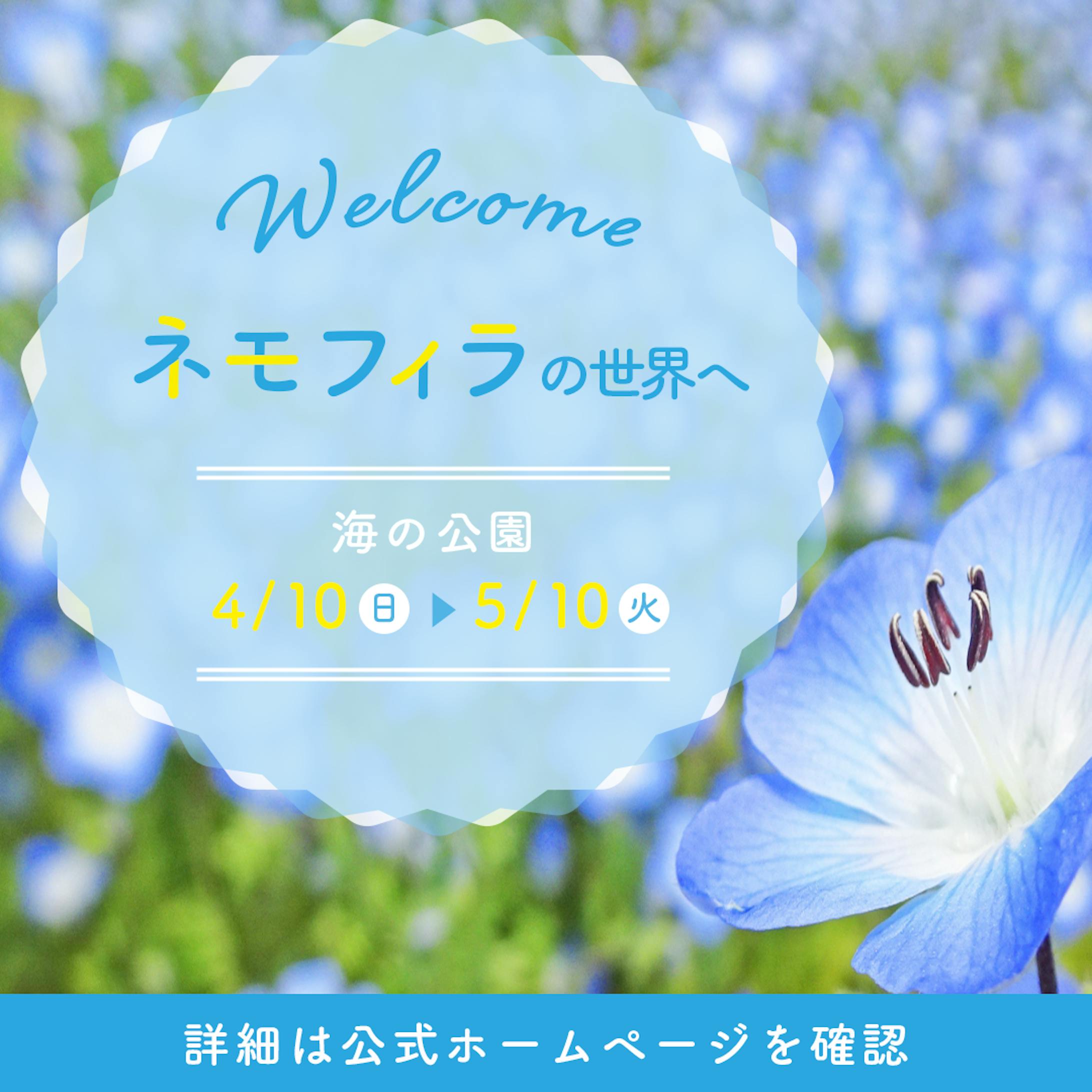 架空バナー　ネモフィラの世界へ-1