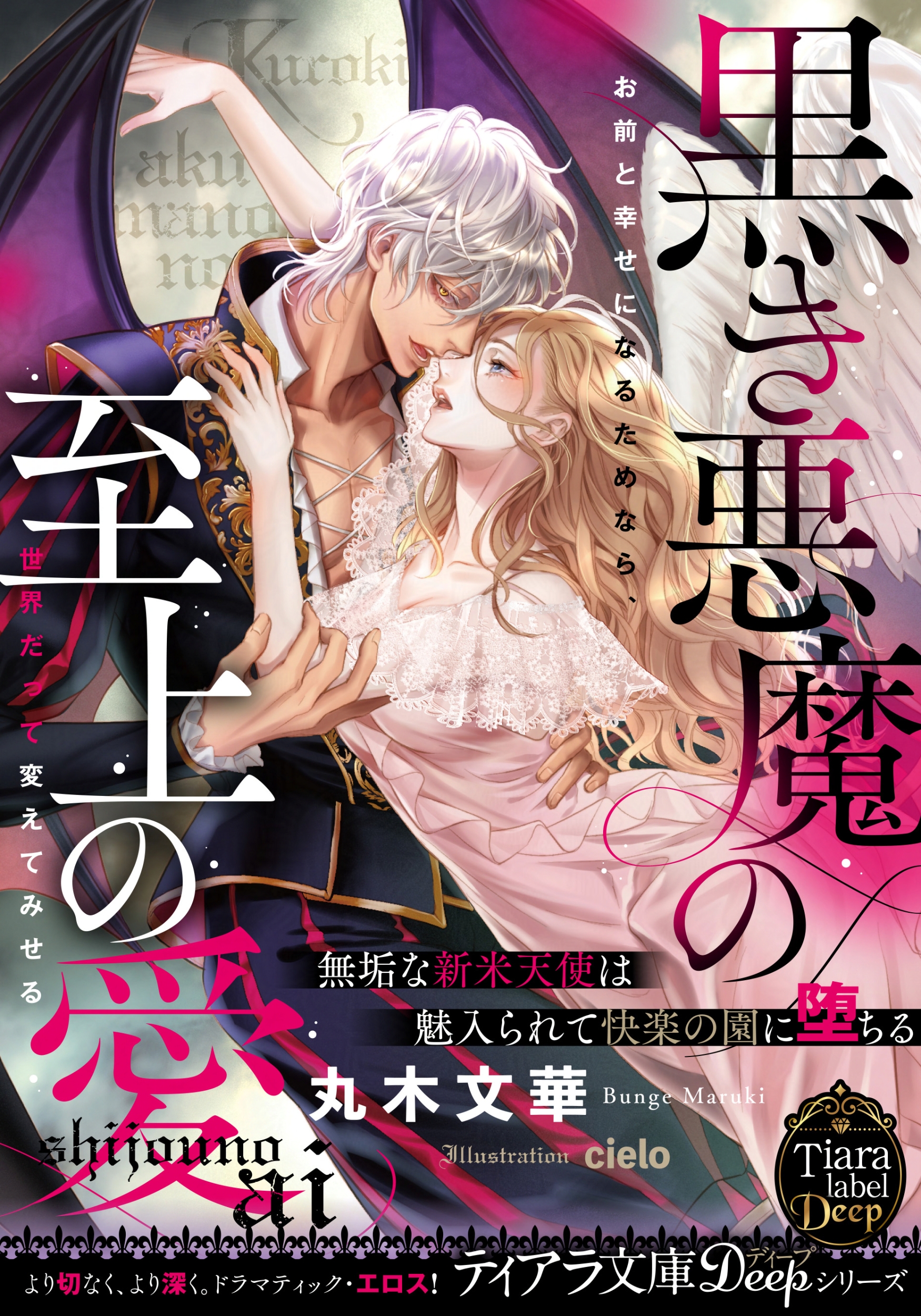 TL小説表紙・挿絵-1