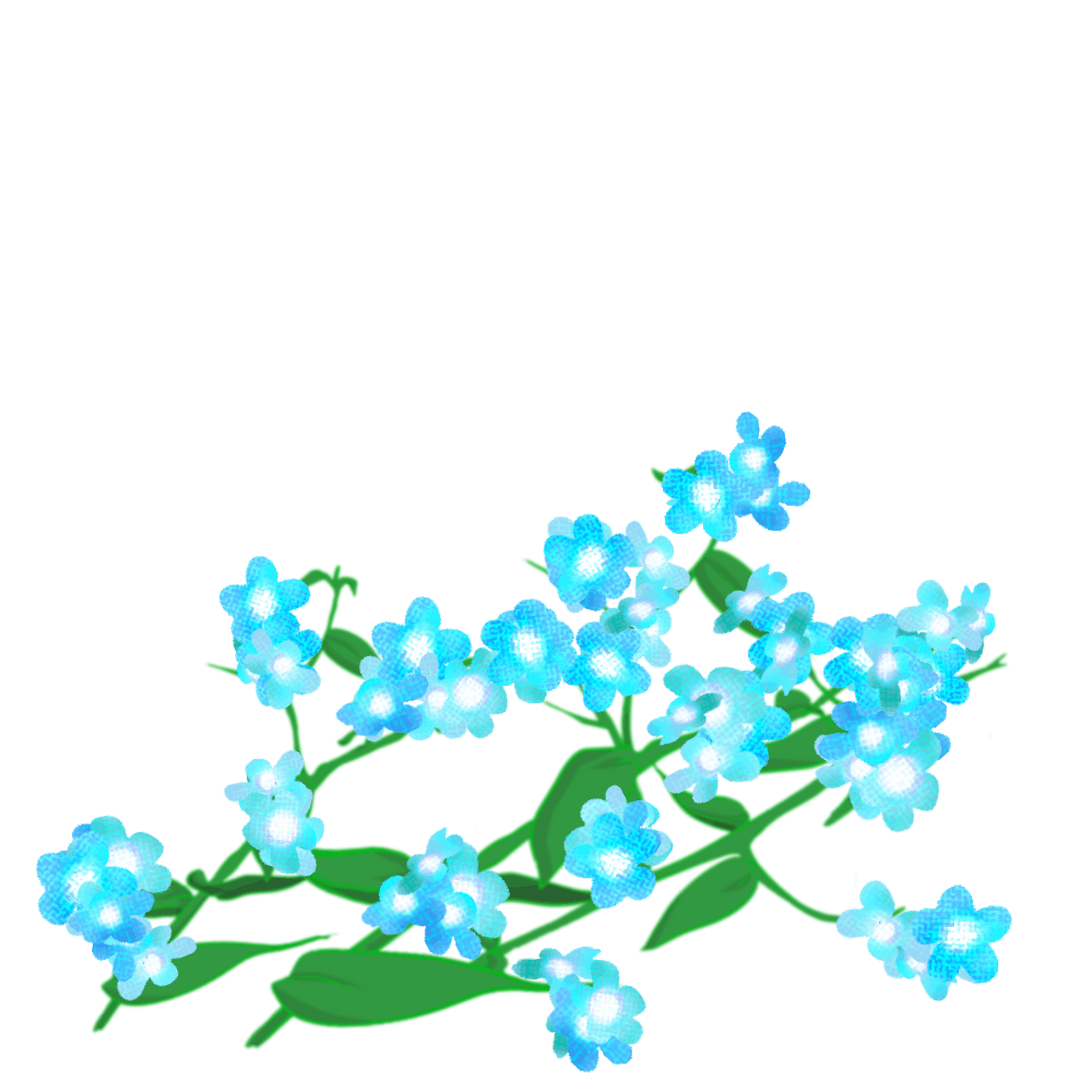 ノウゼンカズラ その他花たち ノウゼンカズラ その他花たち