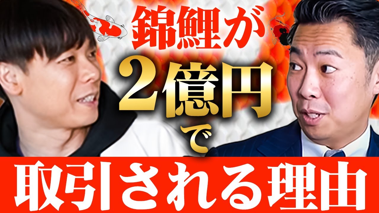 9割が知らない『錦鯉』のヤバい世界。海外セレブが買い占めるビジネスに迫る！