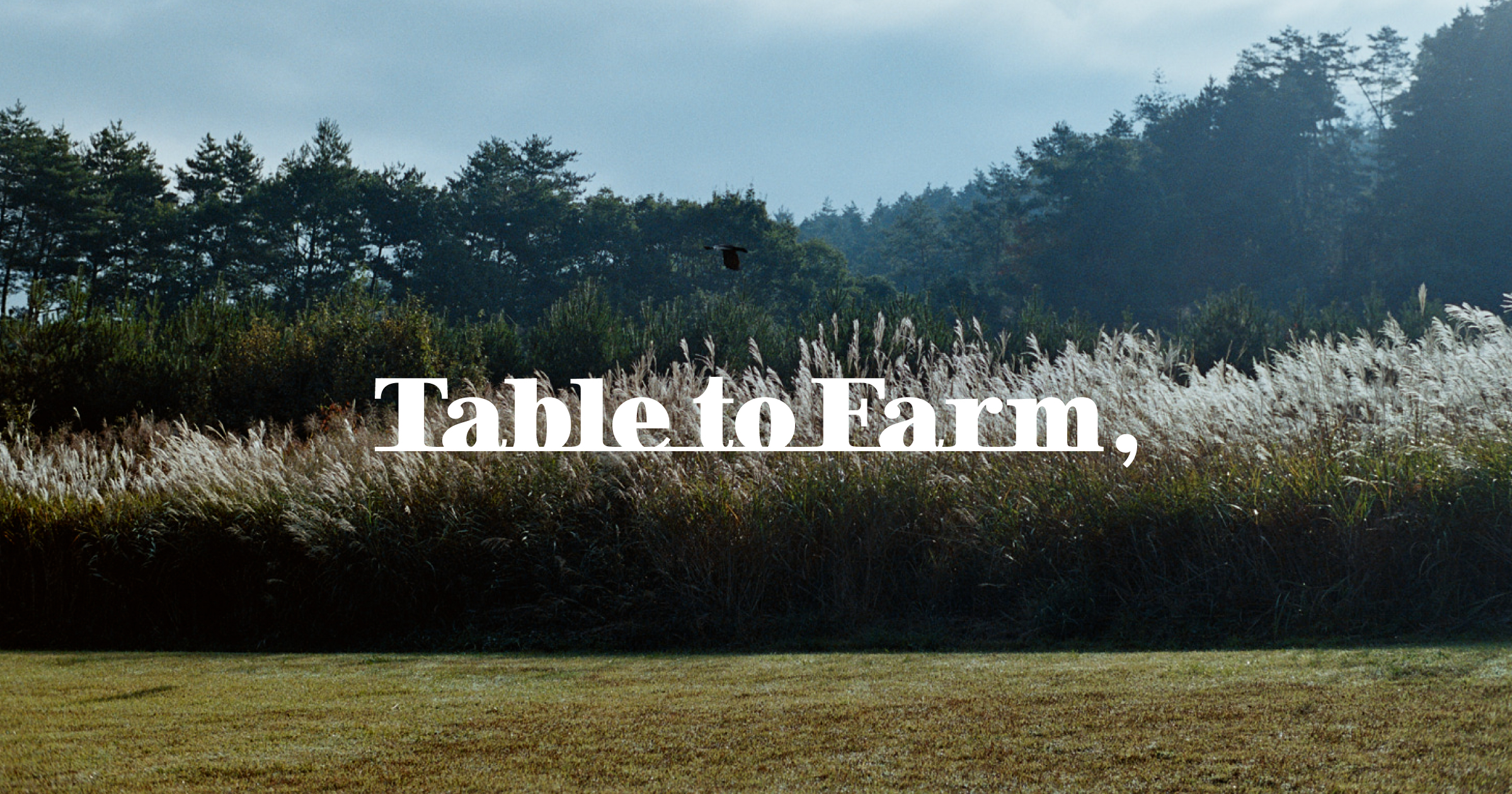 Table to Farm, 