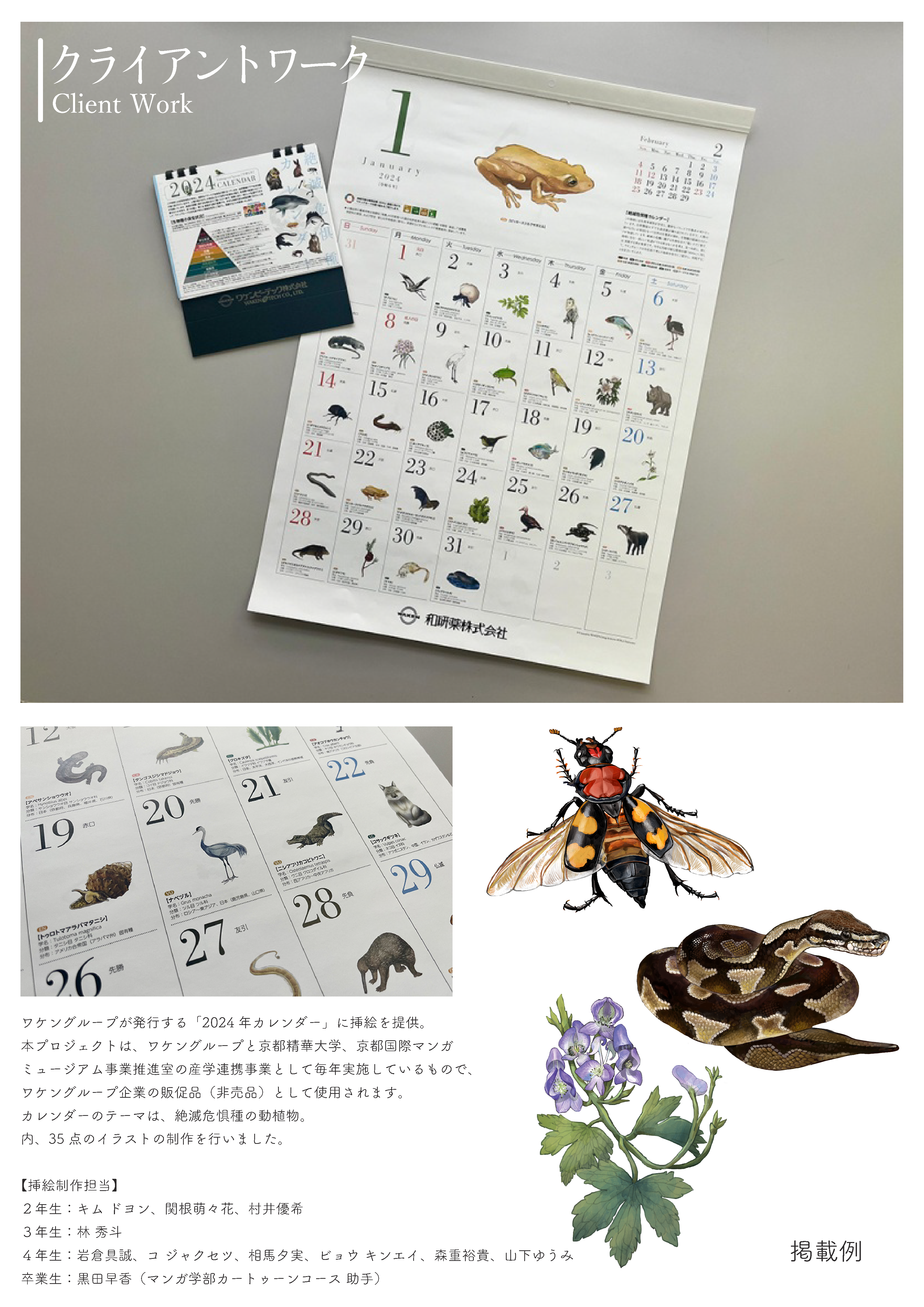 ワケングループ絶滅危惧種カレンダー挿絵-1