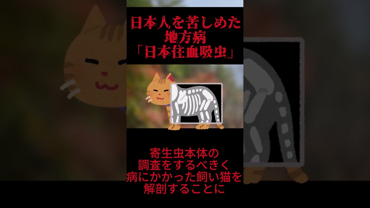 動画編集、解説