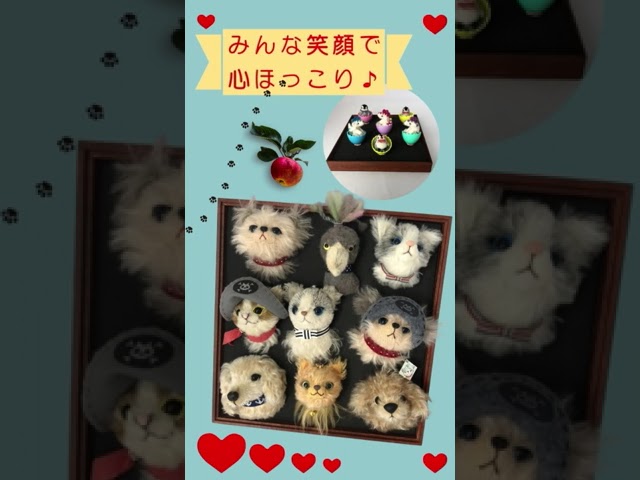 【動画】テディベアアーティスト「酒井みさ子先生」のイベントPR　ショート動画