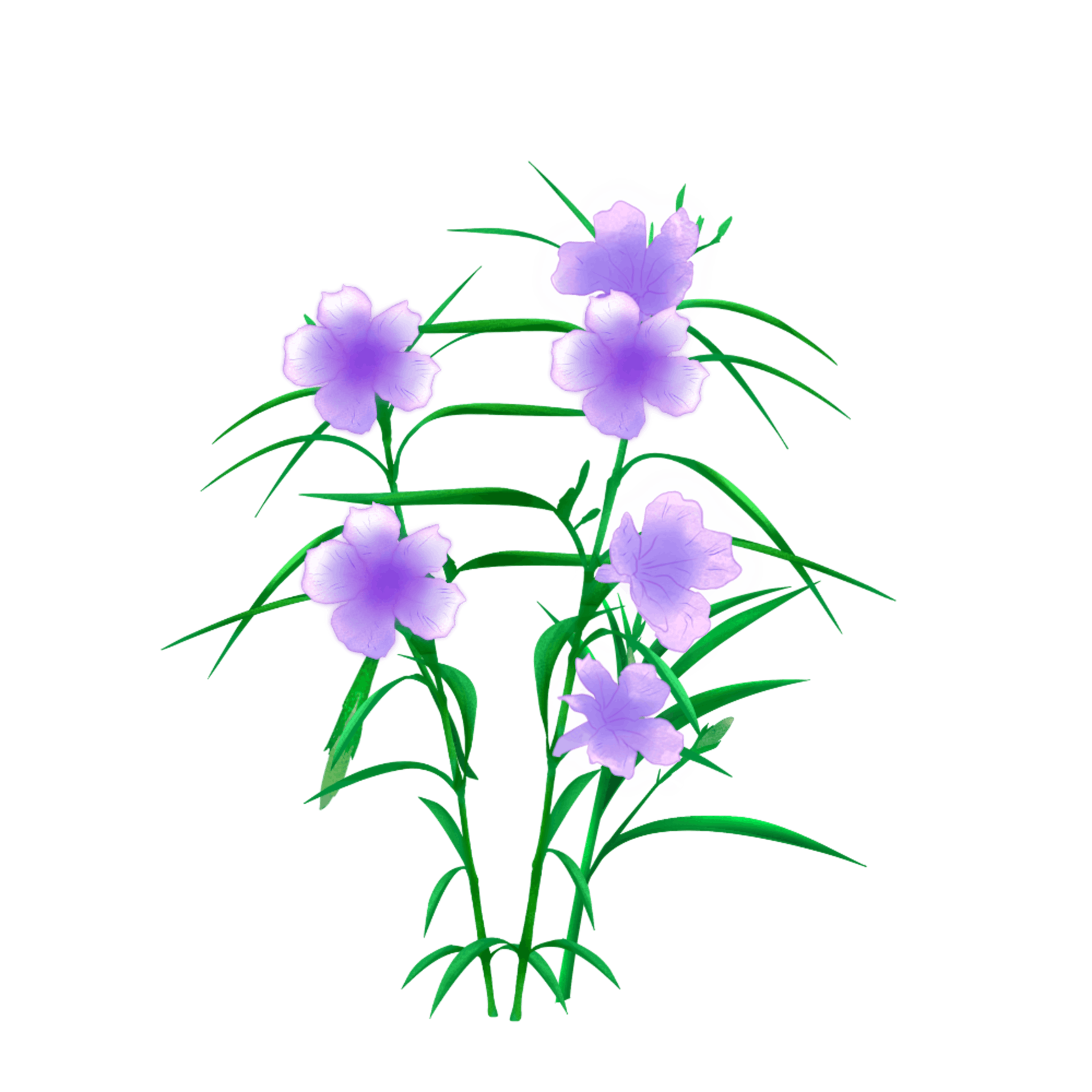 ノウゼンカズラ その他花たち ノウゼンカズラ その他花たち