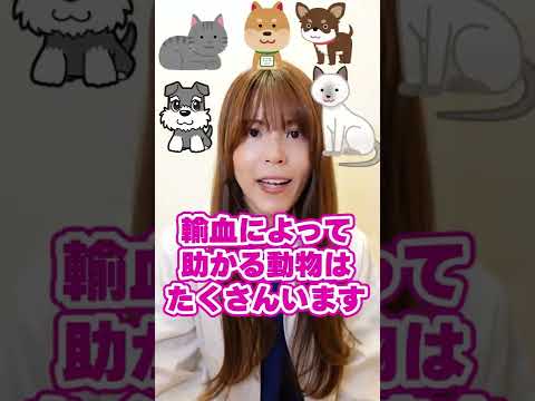 ミュージシャン、台本