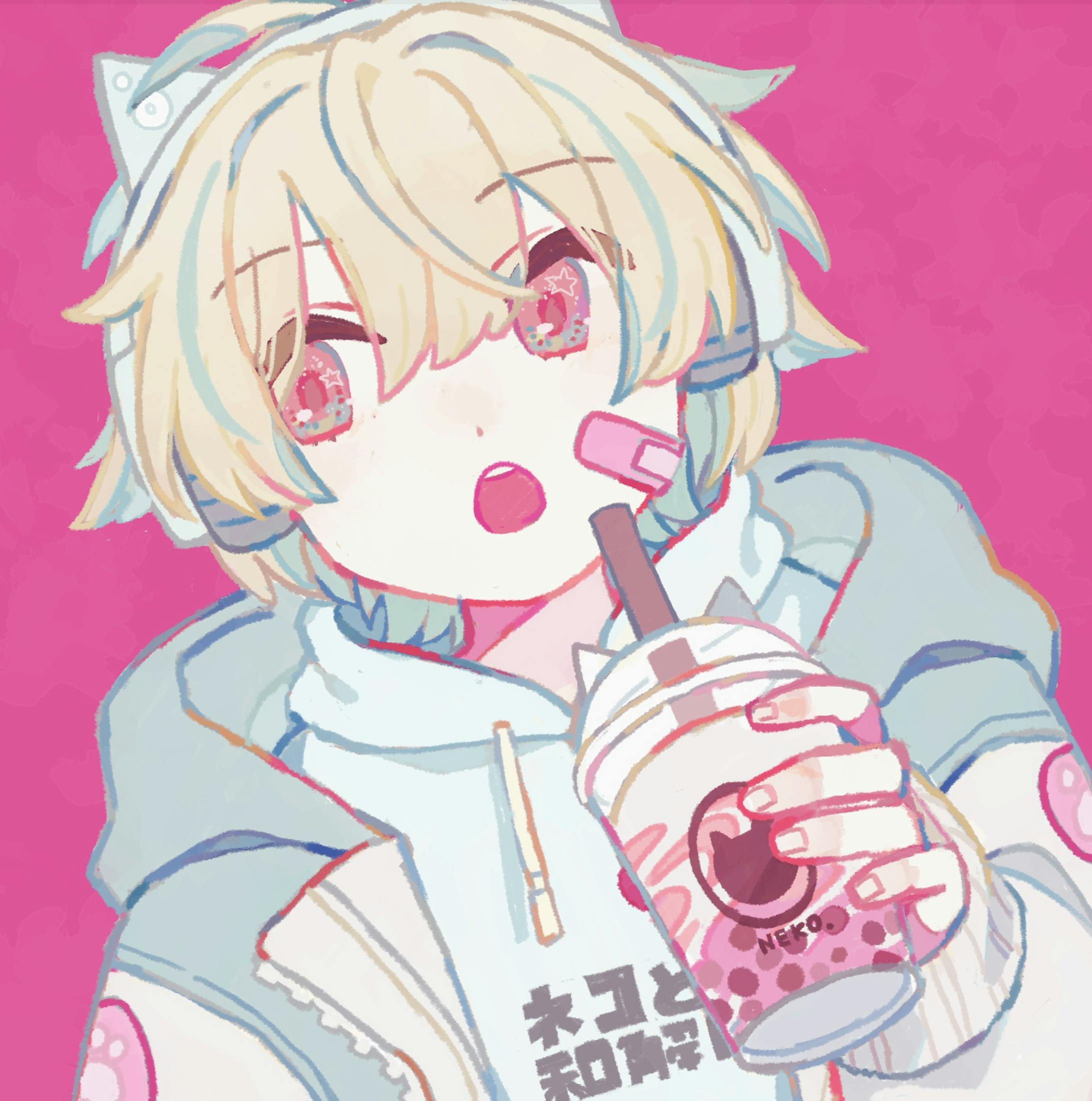 ねこくん ねこくん