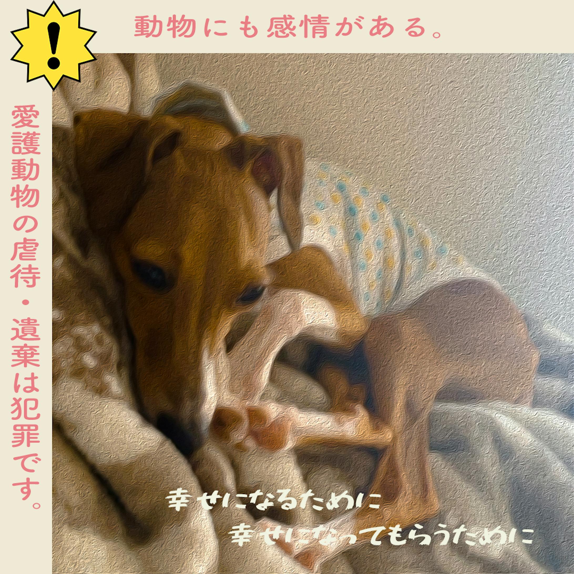 動物愛護バナー-1