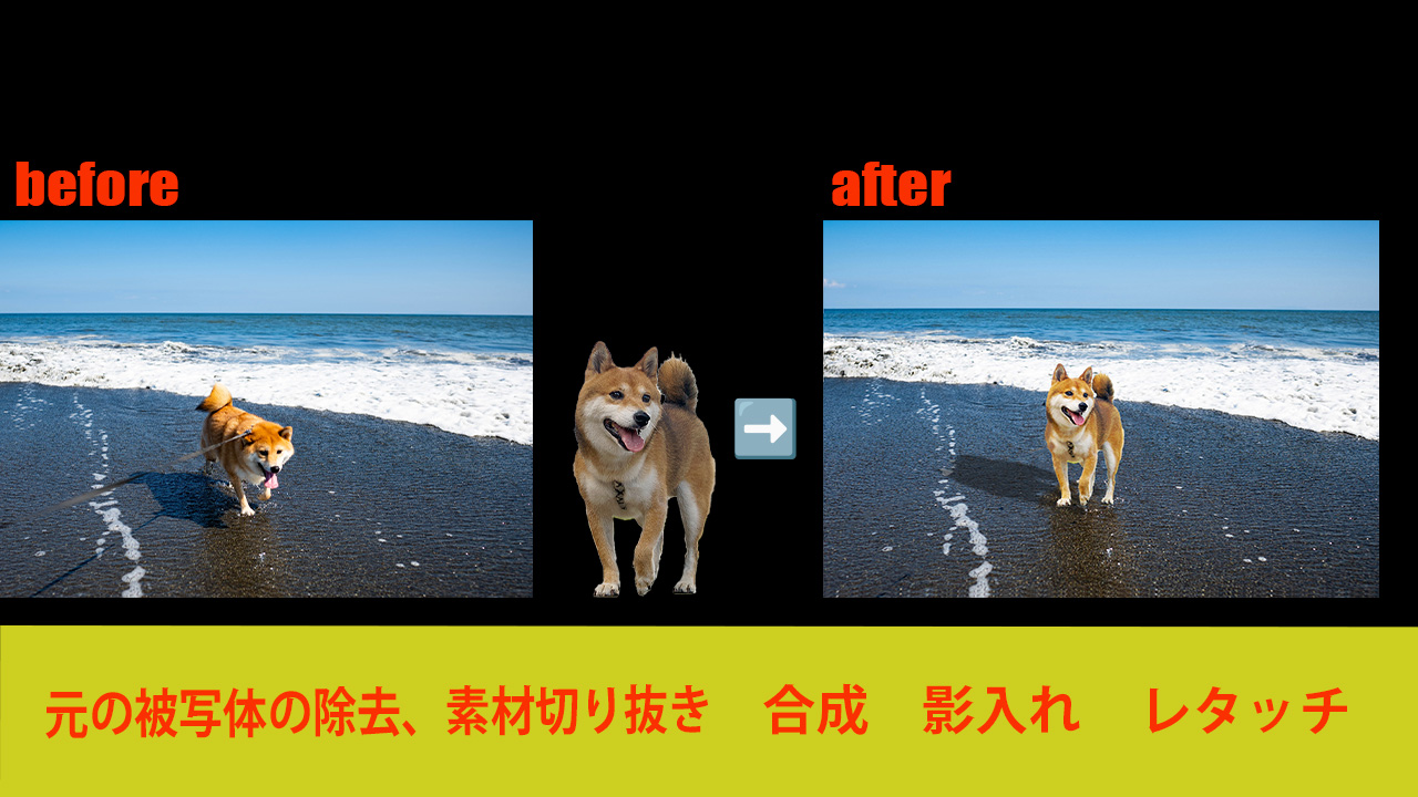 shibainu change!!shibainu change!!-1