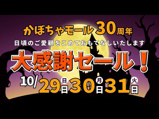 販促15秒CM
