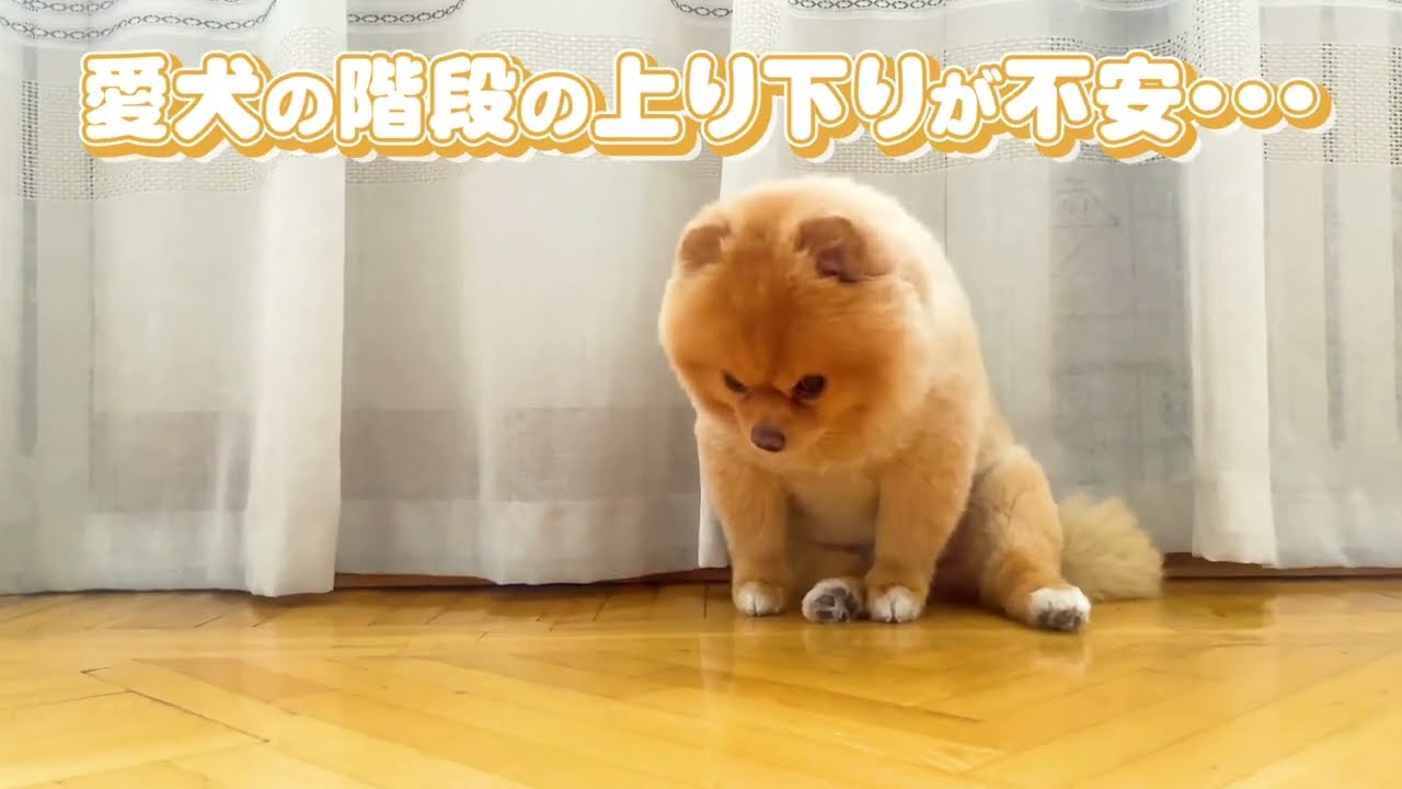 【動画広告制作実績】お悩み解決系02