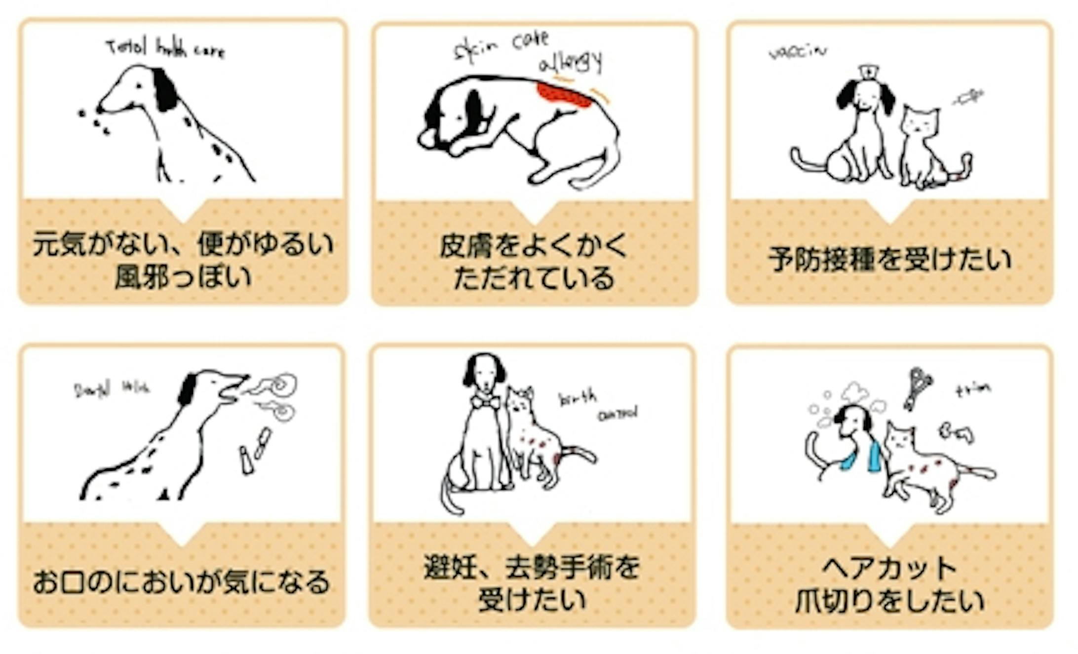 動物病院紹介ページのイラスト 動物病院紹介ページのイラスト