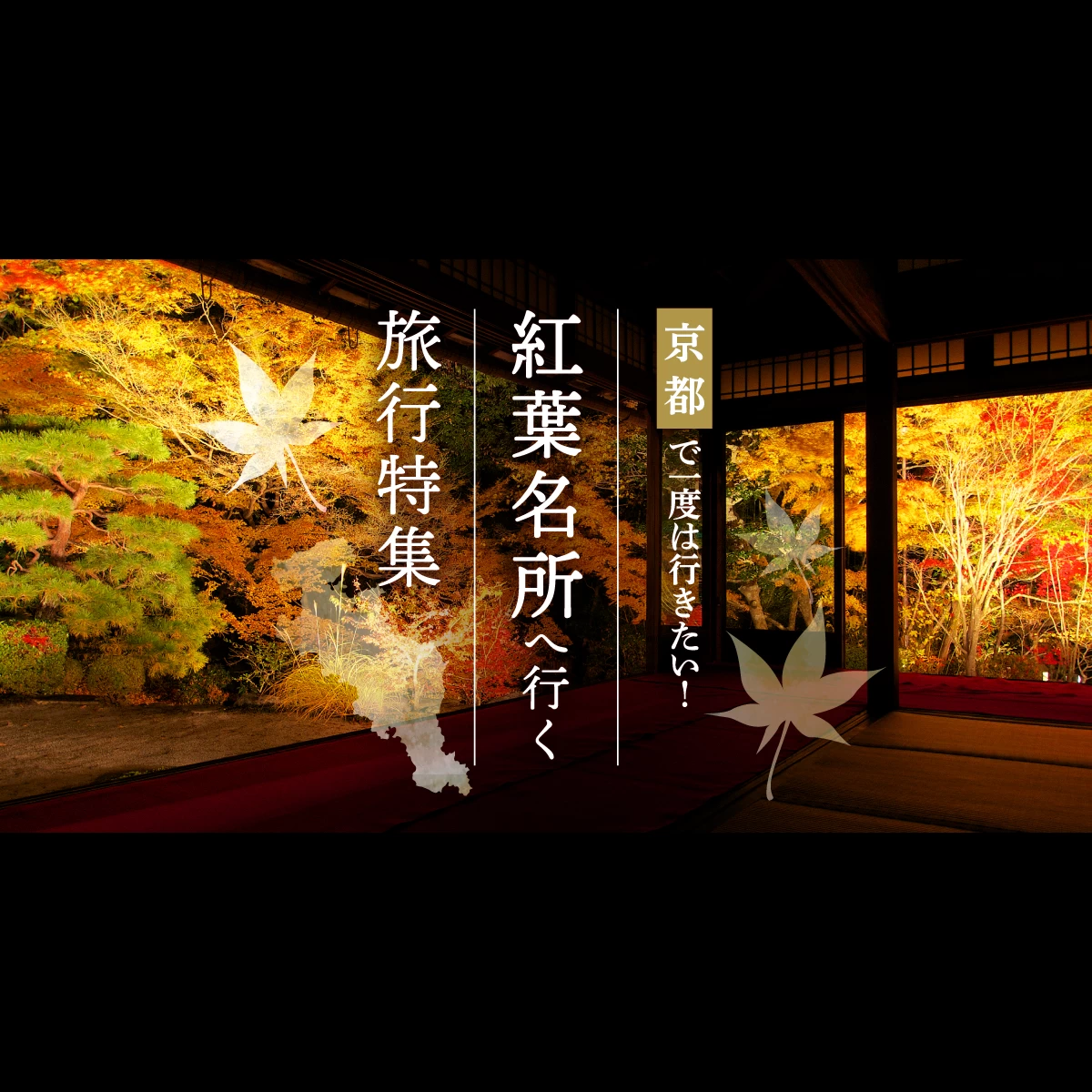 【2023年】京都のおすすめの紅葉狩りプラン特集｜旅行プランは旅色で。