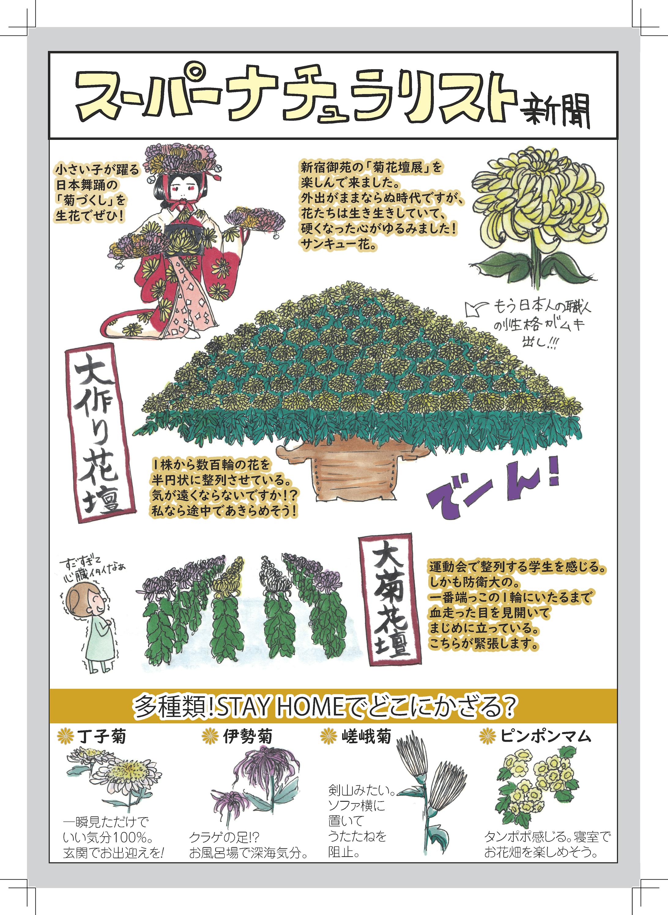 イラスト イラスト