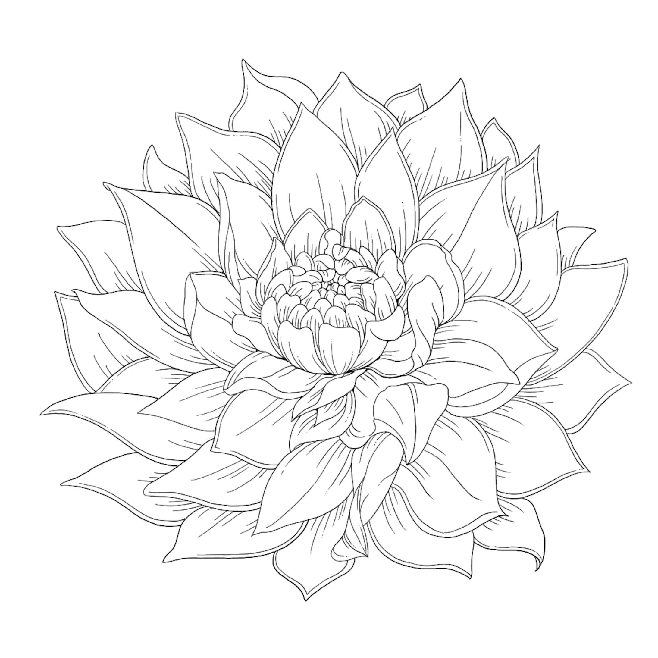 花-1