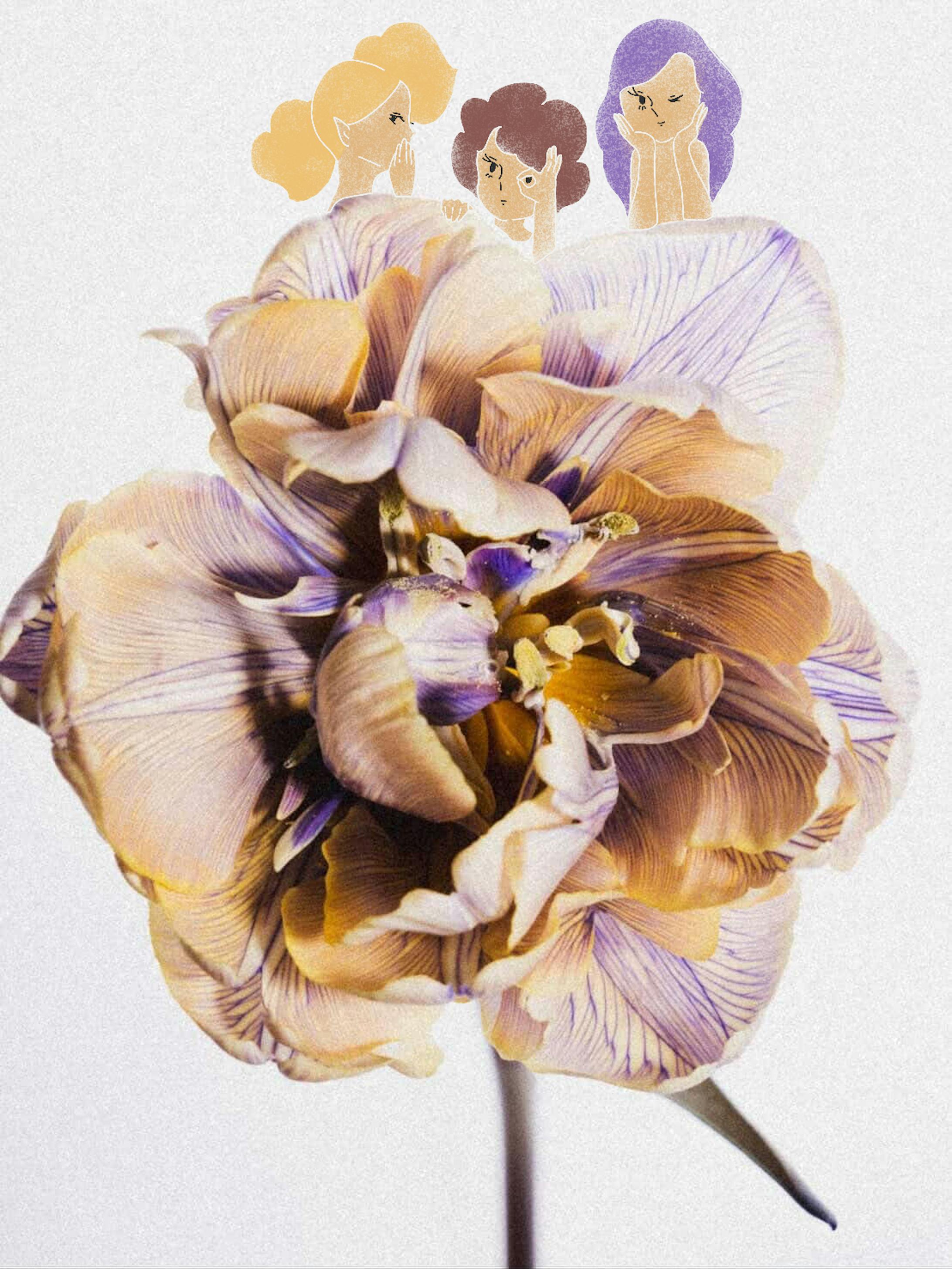 urbantry sns用イラスト2-1