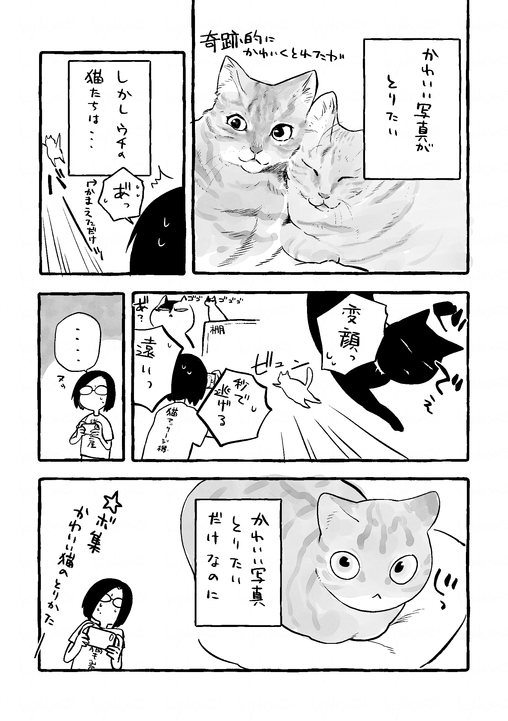 田中清久 Foriio