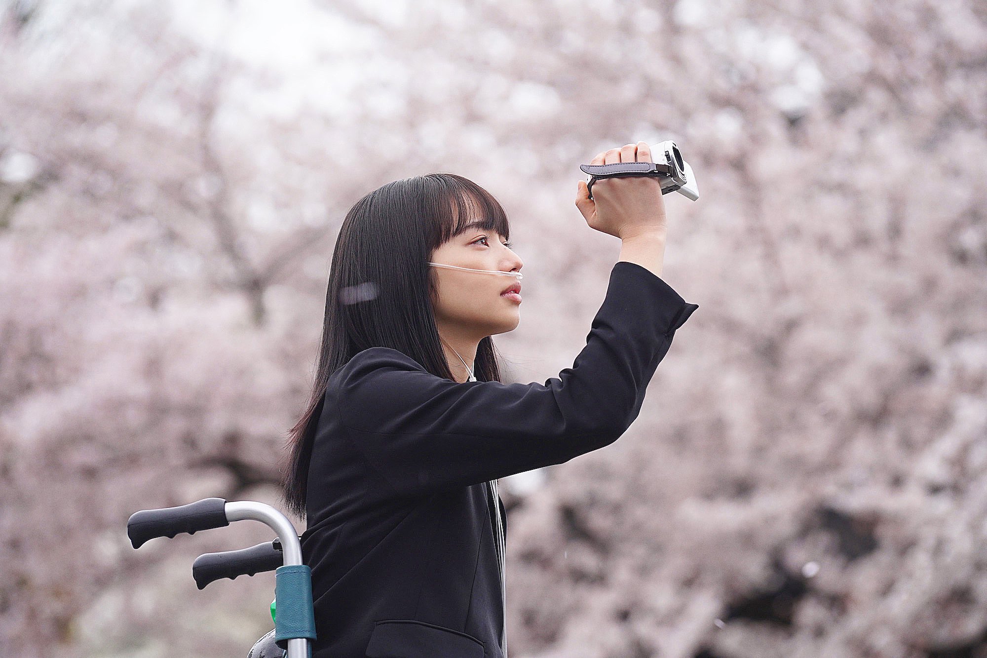 作家、映画コラム