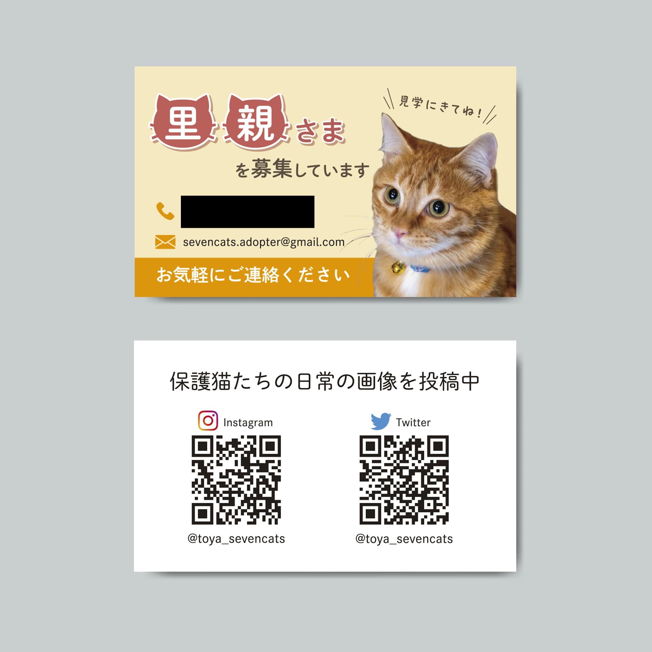【実績】保護猫里親募集カード-1