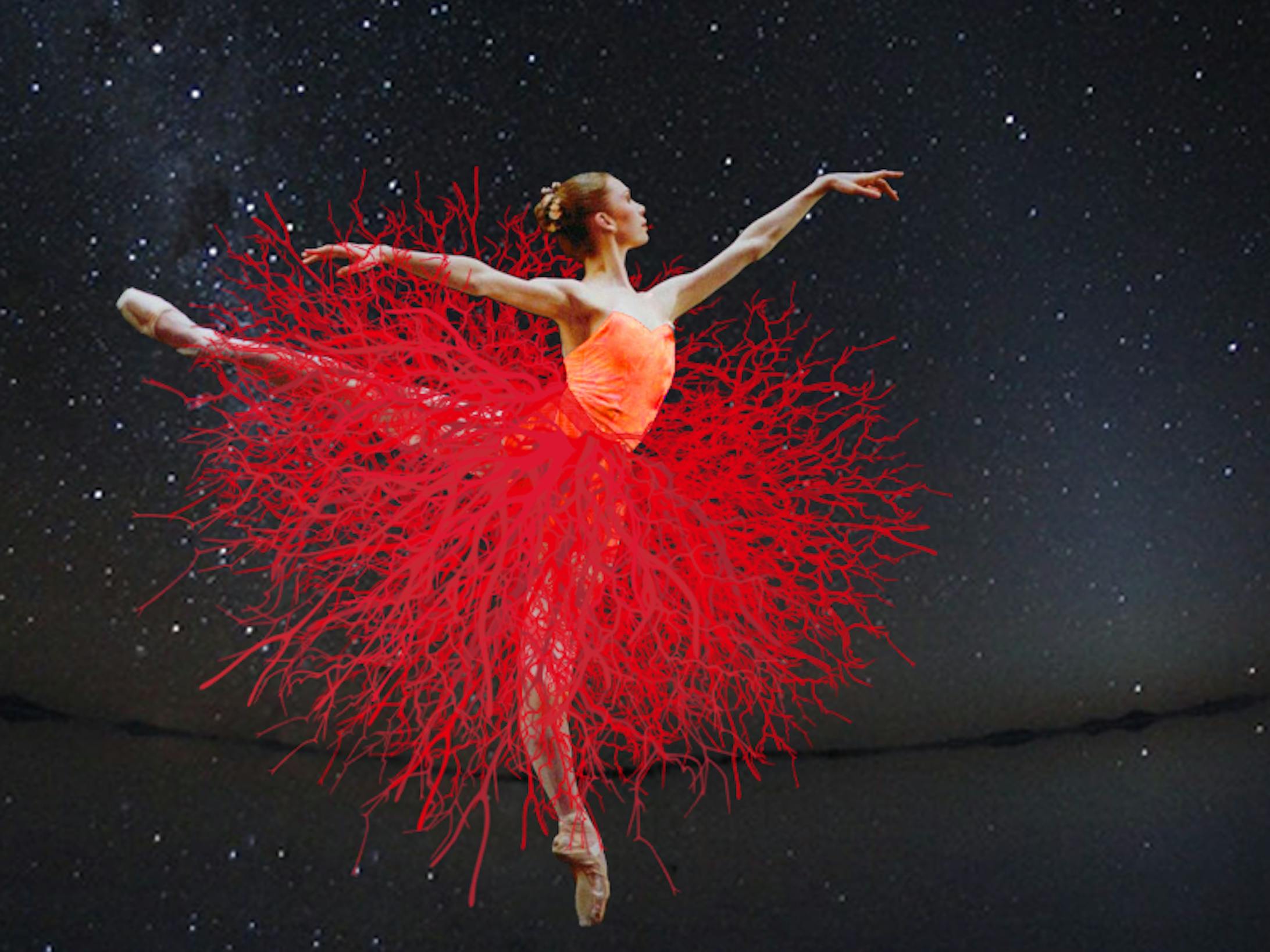 「毛細血管ドレス」-1