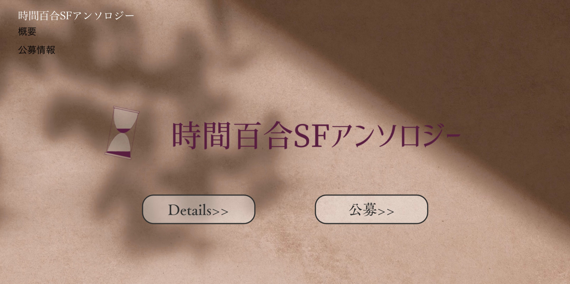 小説家、ディレクション
