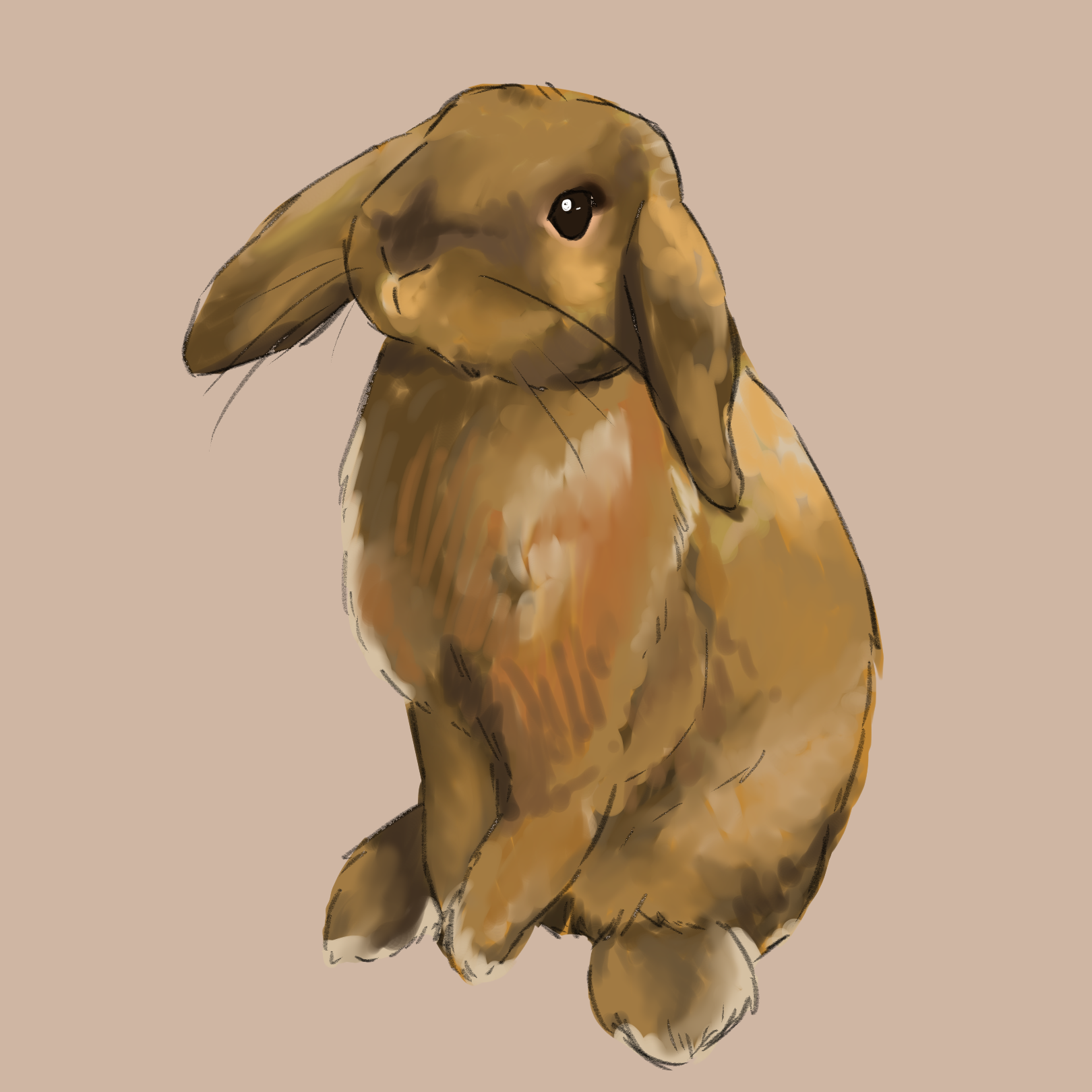 【ご依頼品】うさぎ（＋犬）の似顔絵-1