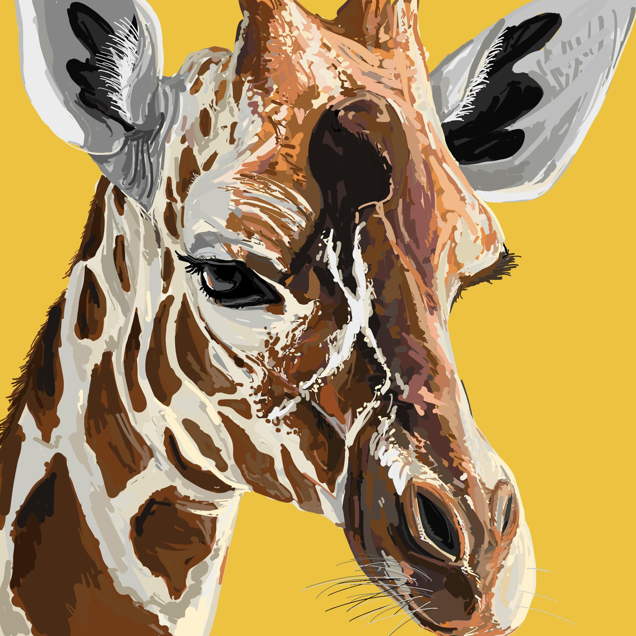 イラスト-1