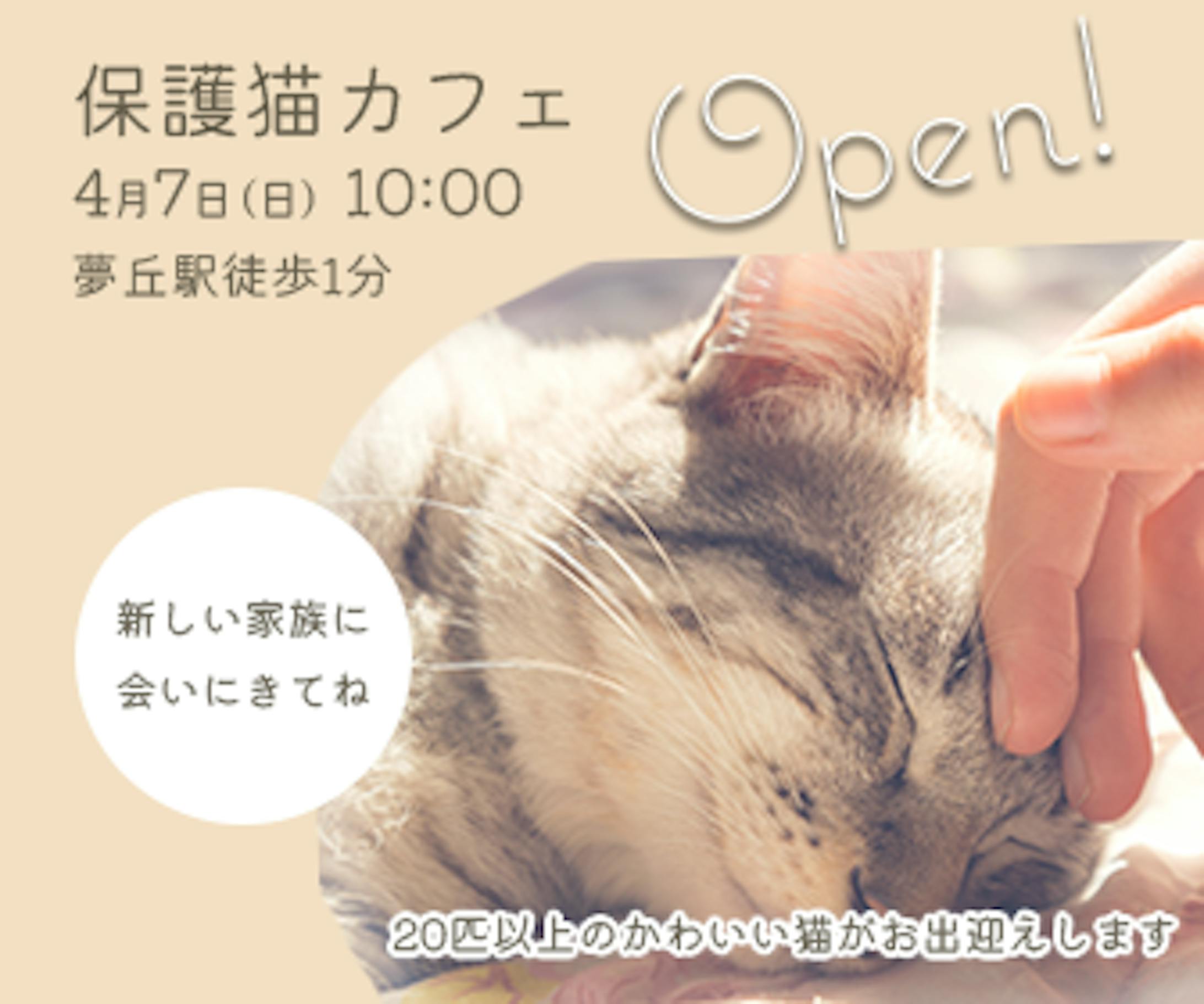 保護猫カフェバナー-1