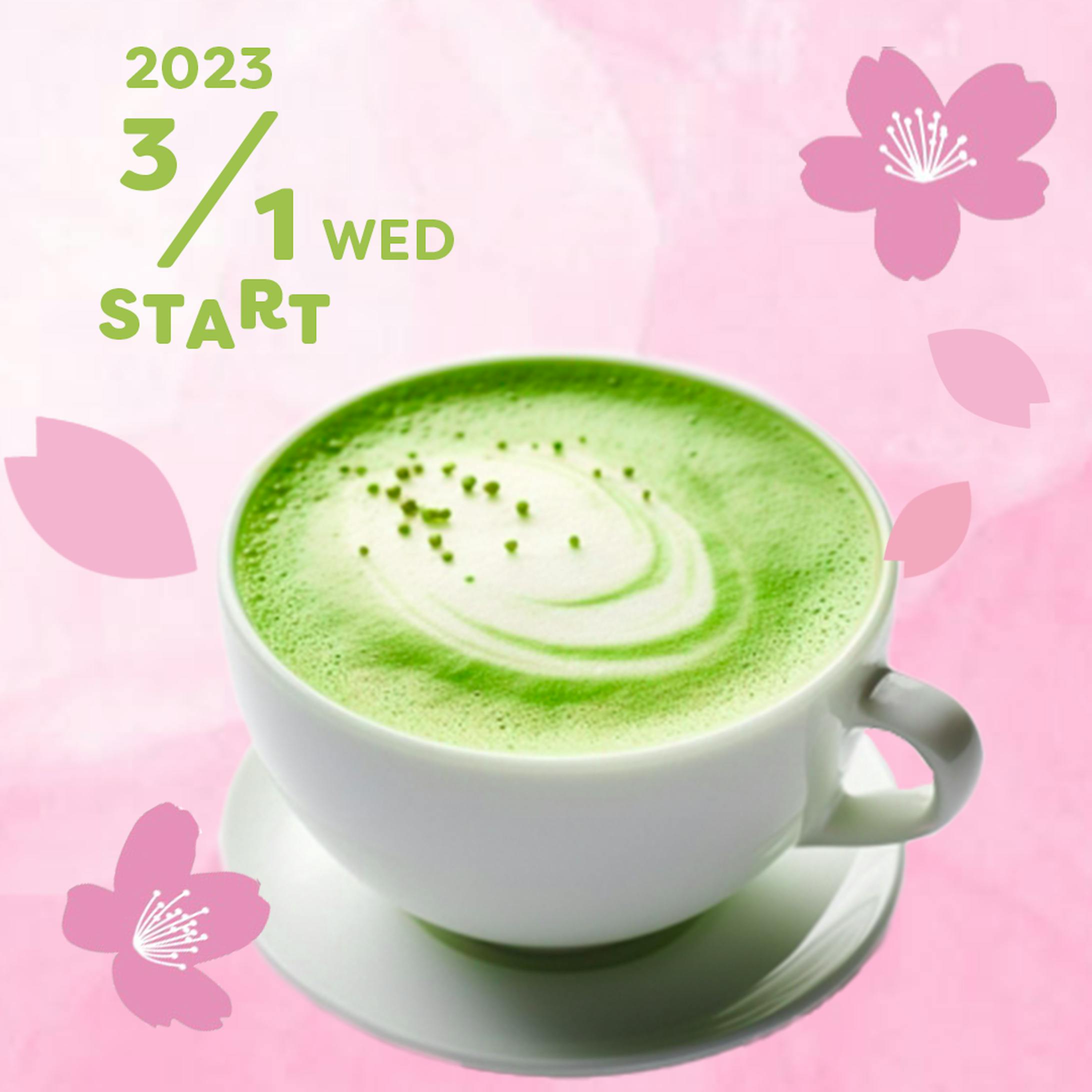 ドリンク-1
