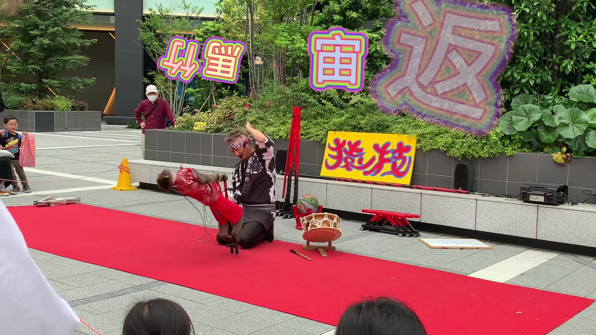 いつかの路上パフォーマンスを動画にしてみました🫧 #日光さる軍団 #蓮ちゃん #お猿の一芸 