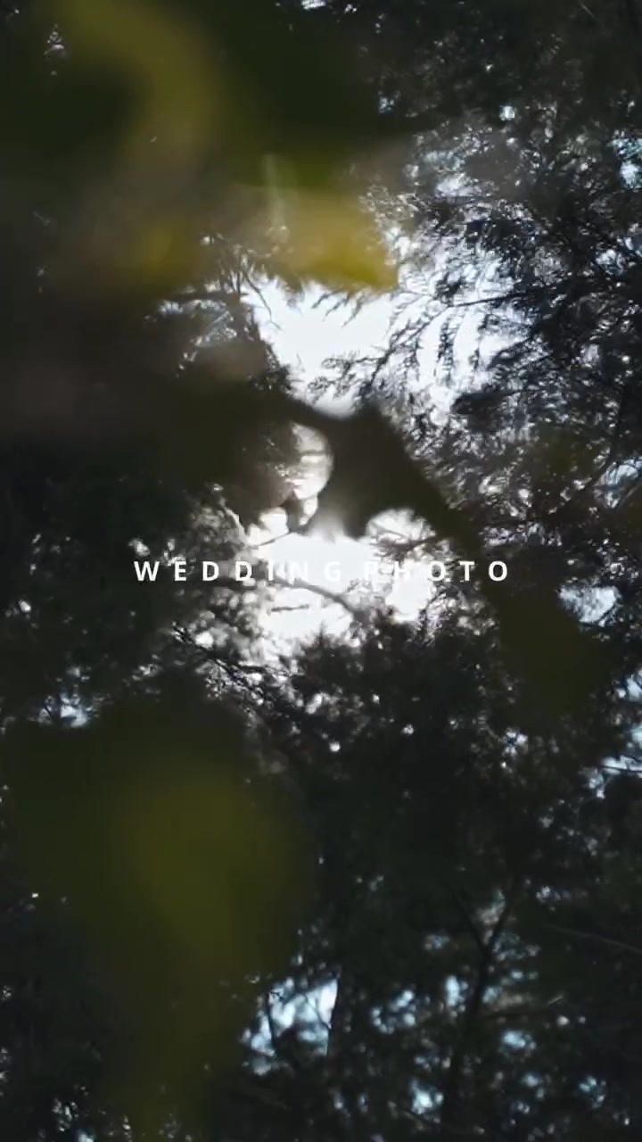 tiktok、director
