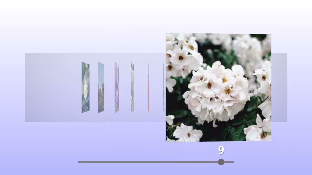 AppleのCover Flowみたいなスライドショー(0:24))