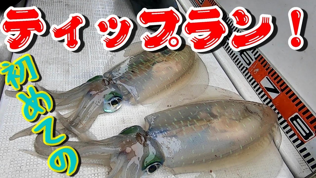 音楽、オウンドメディア