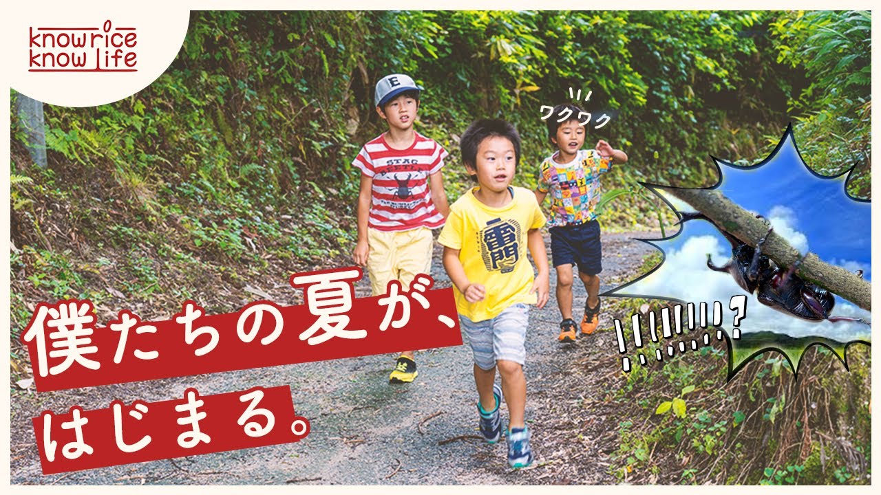 【自然の中で遊びたい親子へ】｜奥出雲｜採れたて野菜｜カブトムシ｜
