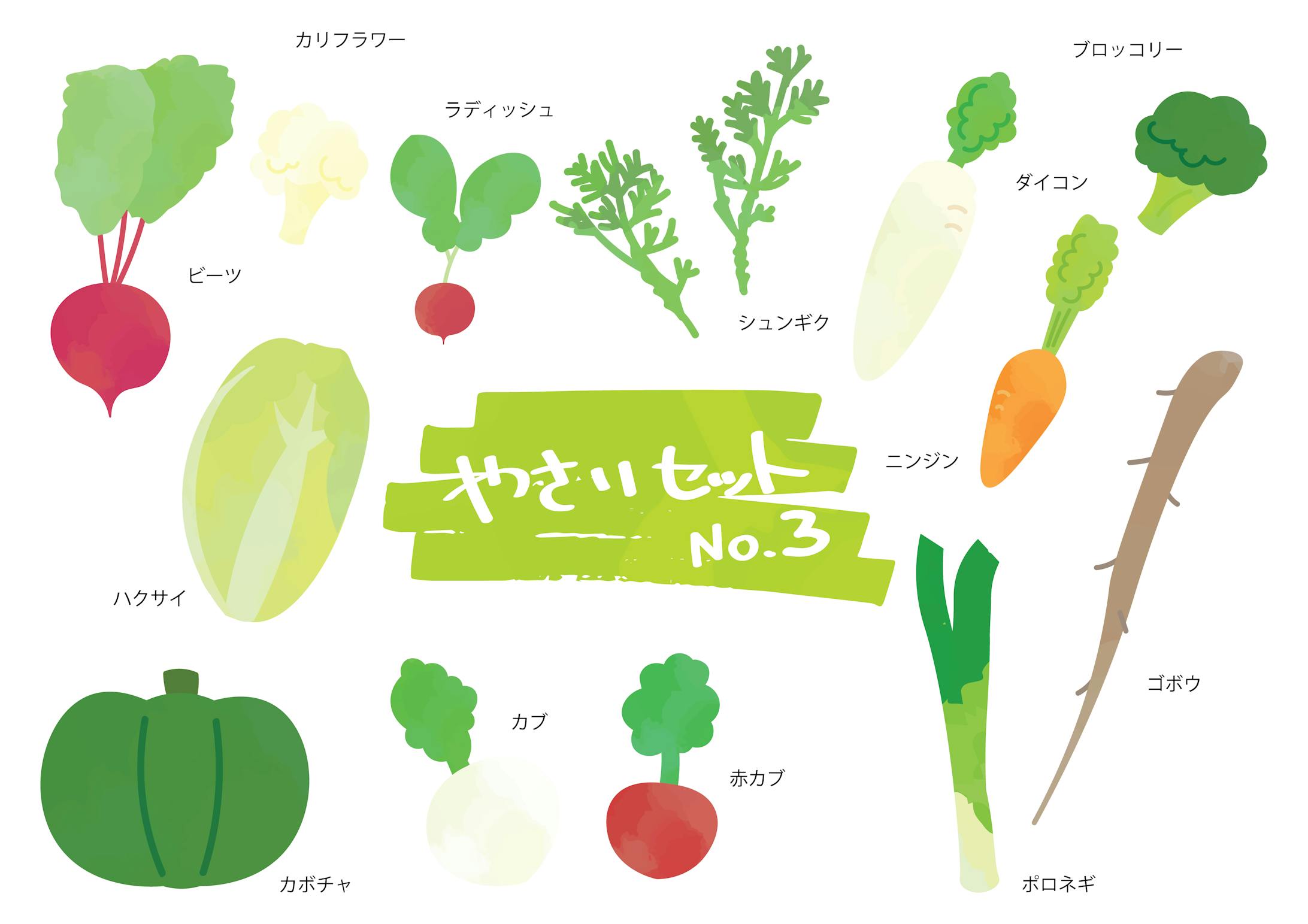 野菜・フルーツイラストセット-3