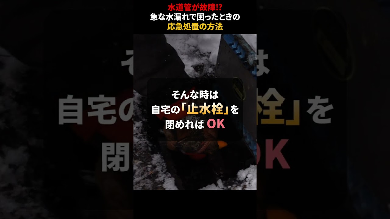 vcn、密着取材