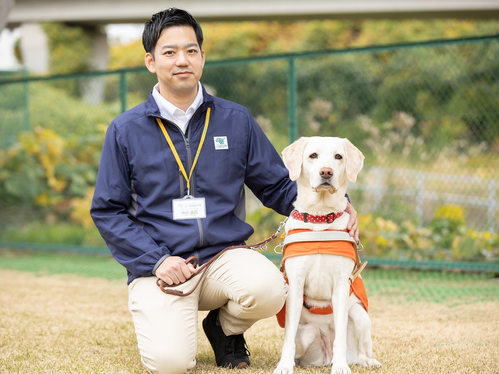 市場調査、取材執筆