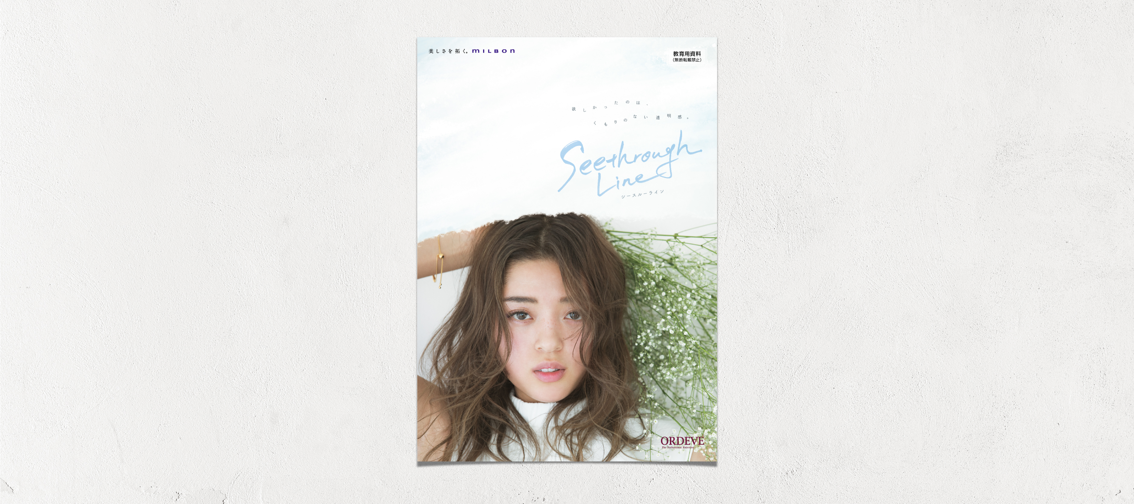 ORDEVE 「Seethrough Line」製品パンフレット-1