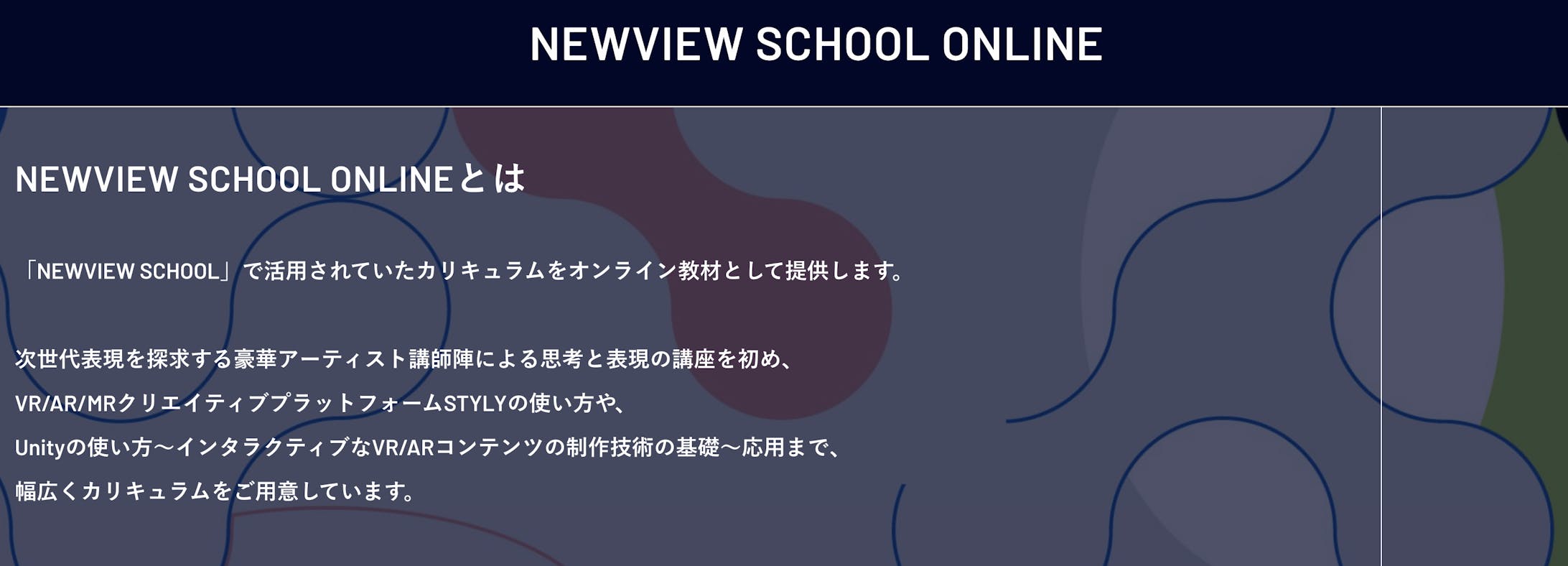 New View School Online 教材制作・アップデート-2