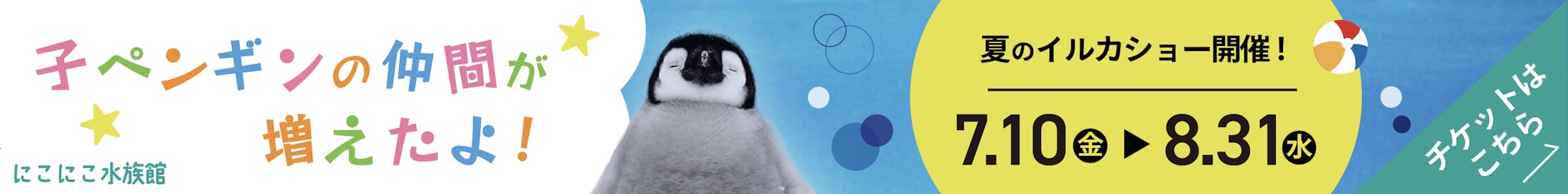水族館-1