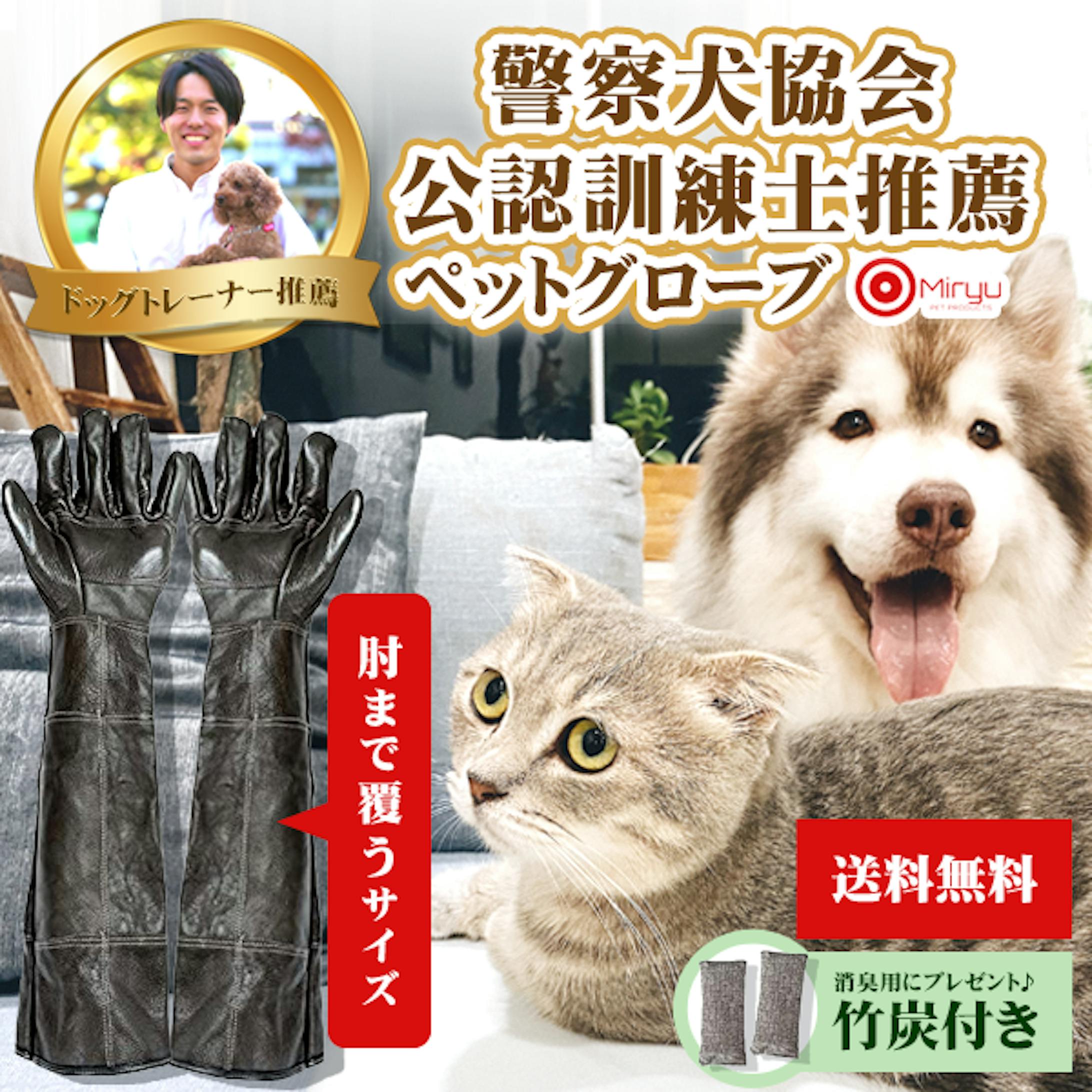 Yahoo!画像-1