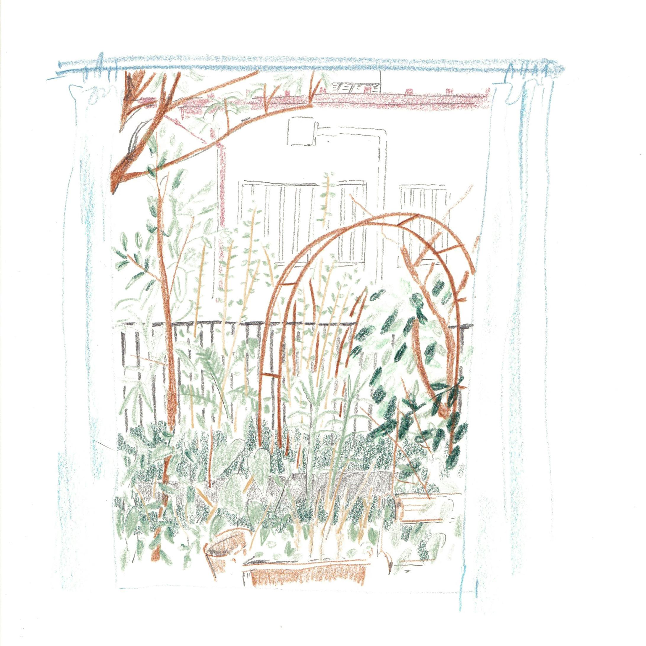 scenery-1