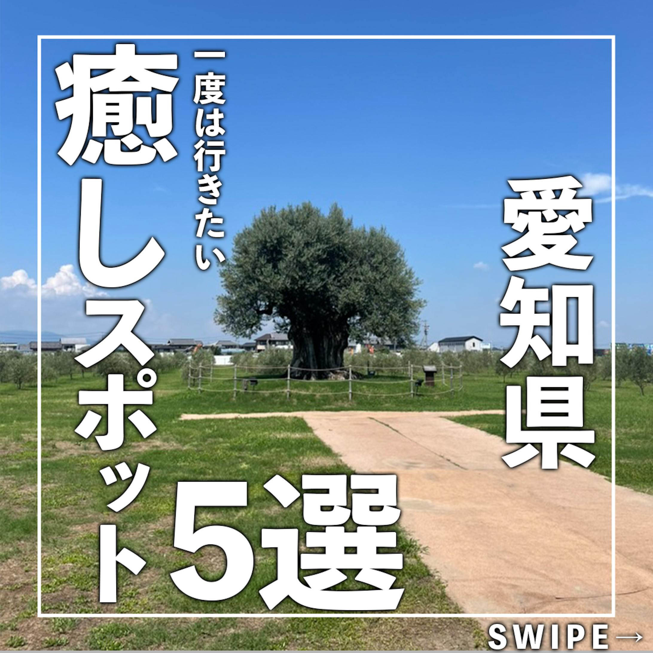 インスタ-1