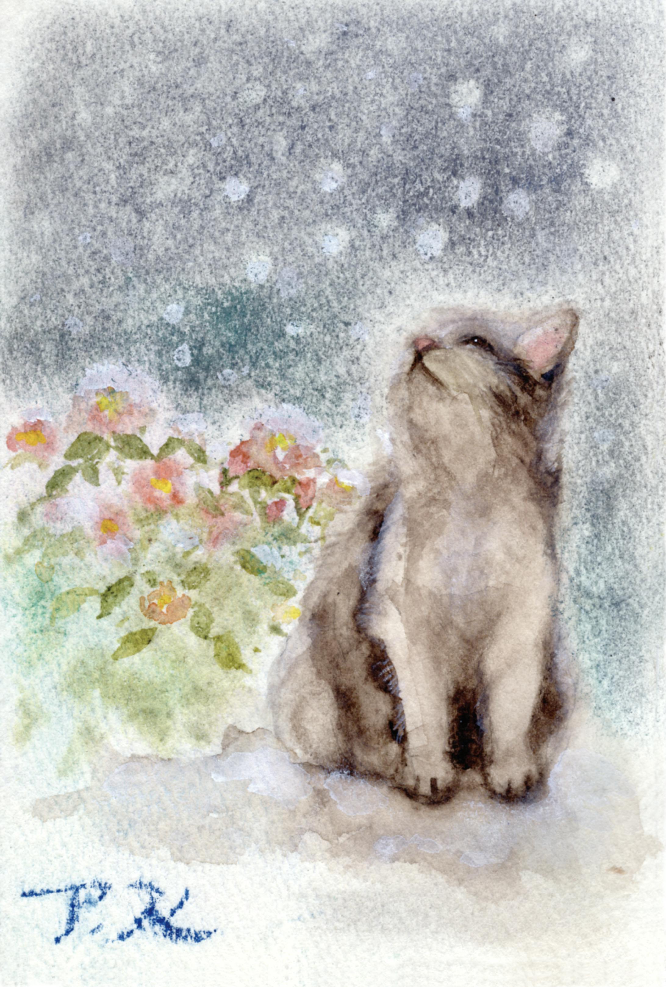 雪見猫-1