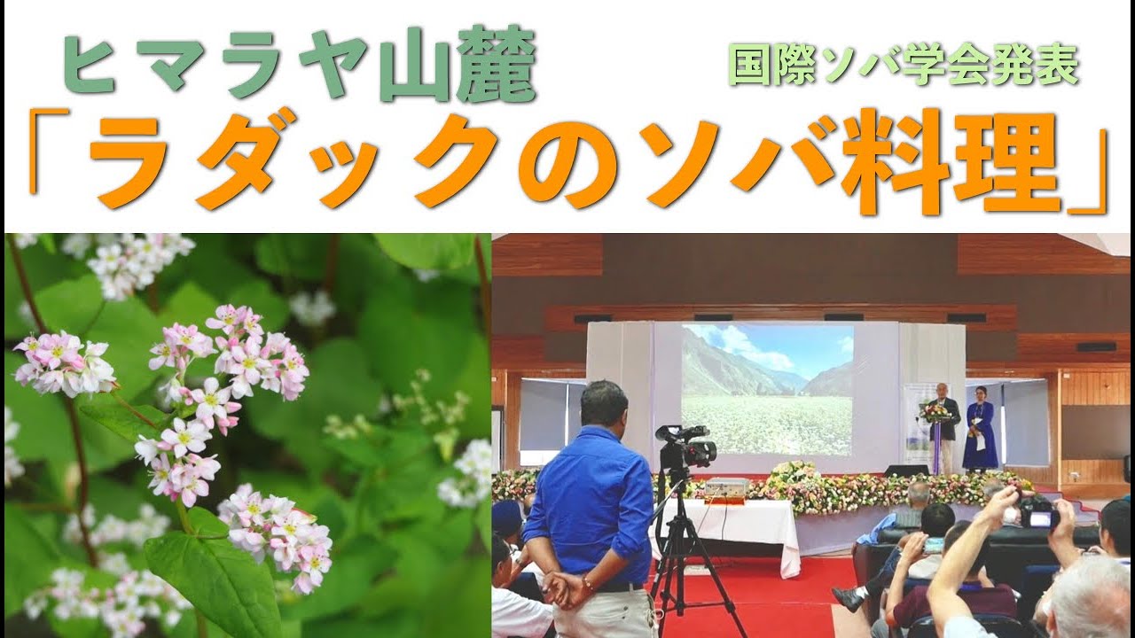 🌼「ラダックのソバ料理」🌼第14回世界ソバ学会発表＠シーロン・インド🇮🇳| Buckwheat in LADAKH| TOSHIYUKI-i| SERINA-m